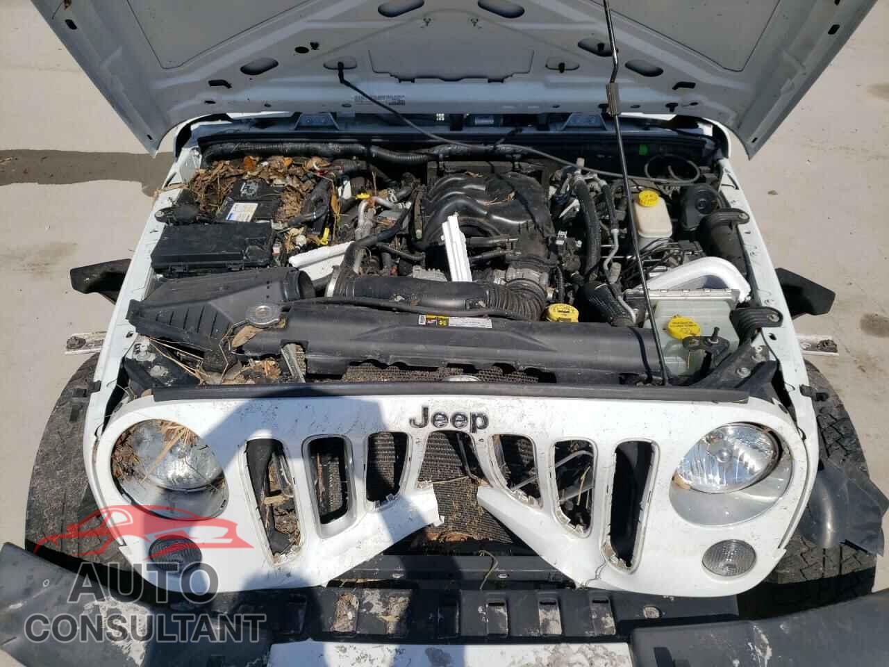 JEEP WRANGLER 2016 - 1C4BJWEG3GL173583