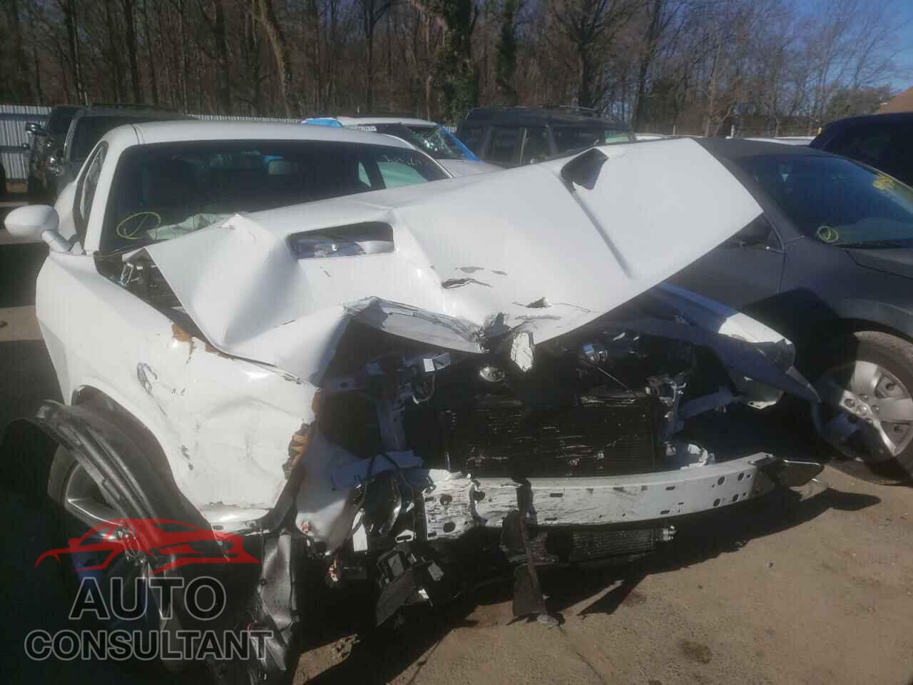 DODGE CHALLENGER 2021 - 2C3CDZAG9MH516798