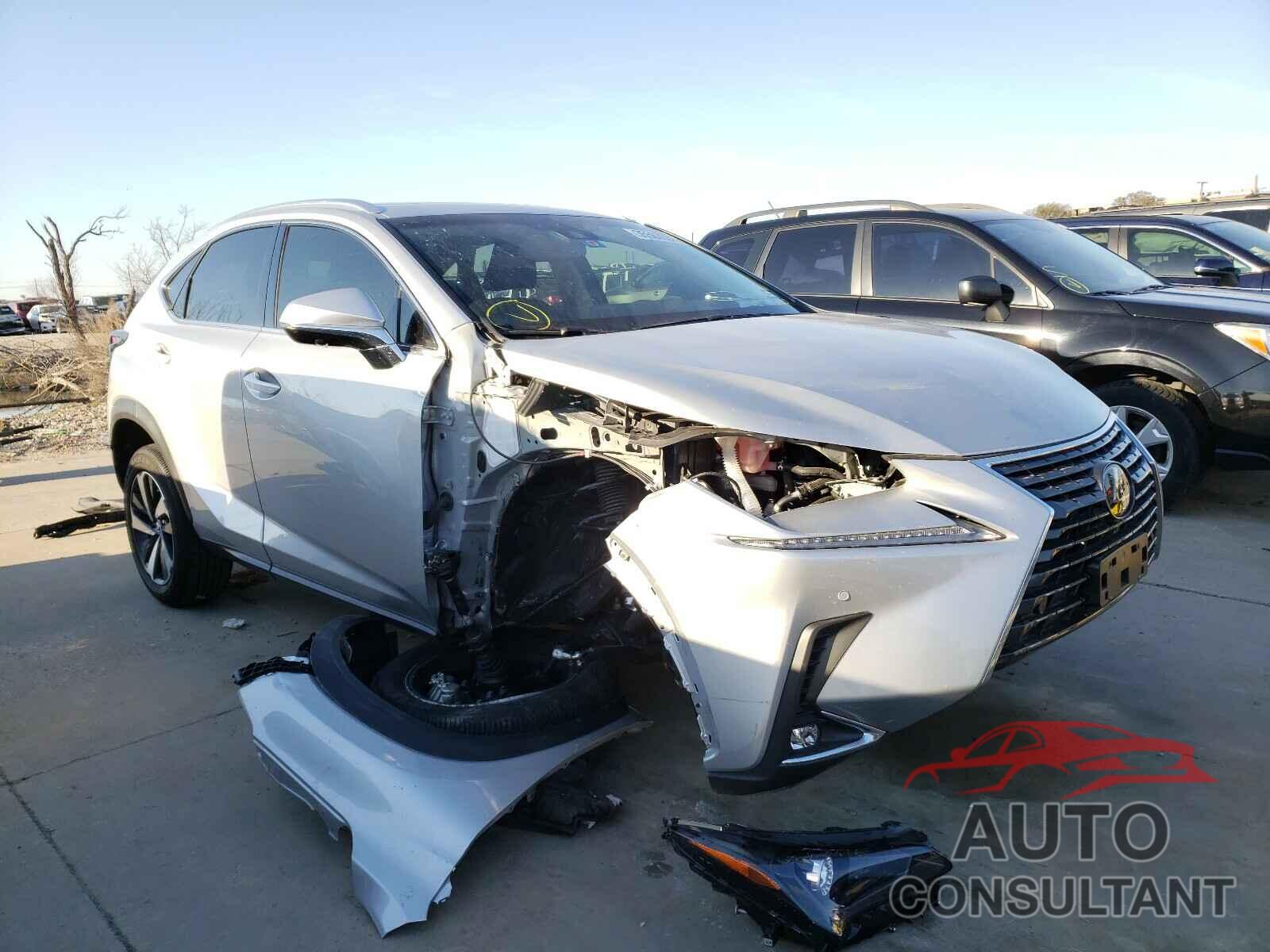 LEXUS NX 2019 - JTJYARBZ5K2131445