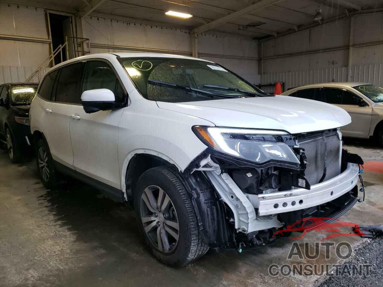 HONDA PILOT 2017 - 5FNYF5H81HB044434