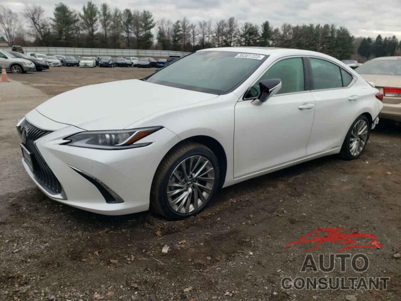 LEXUS ES300 2021 - 58AEA1C1XMU009451