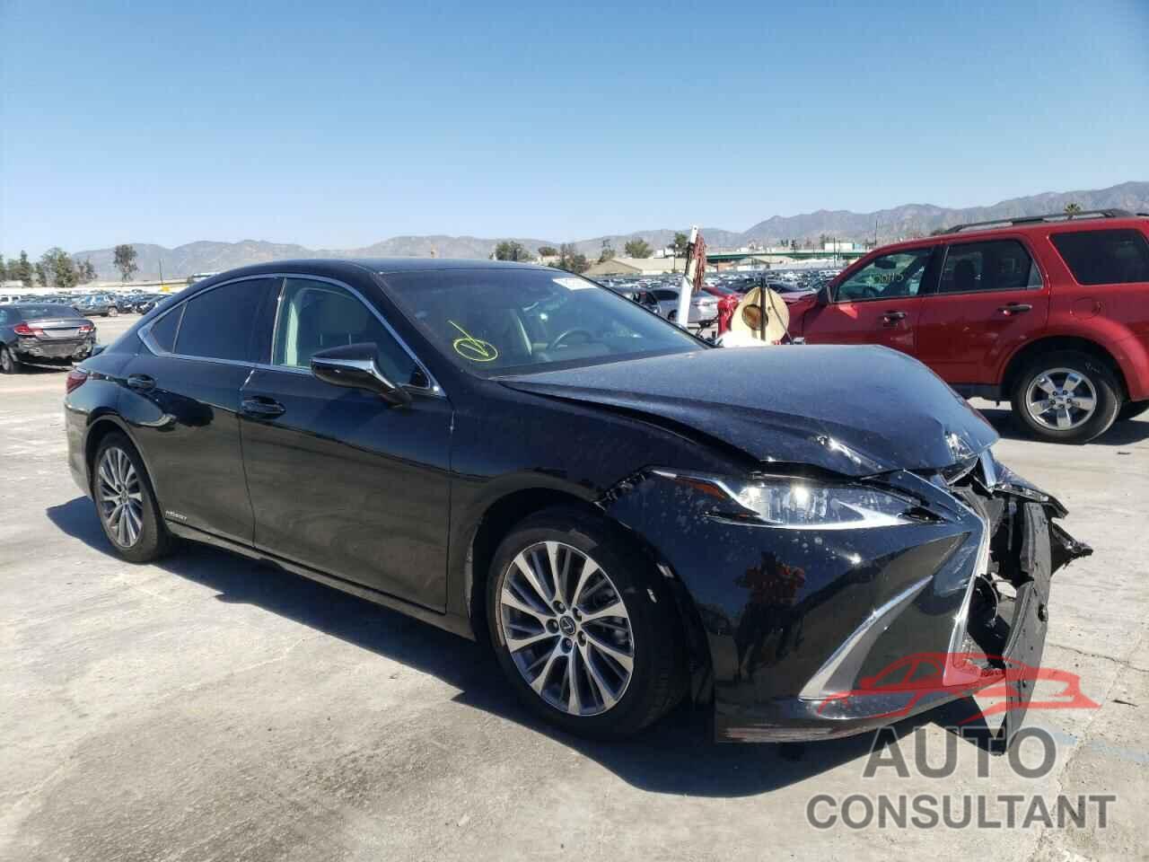 LEXUS ES300 2020 - 58AD21B16LU008824