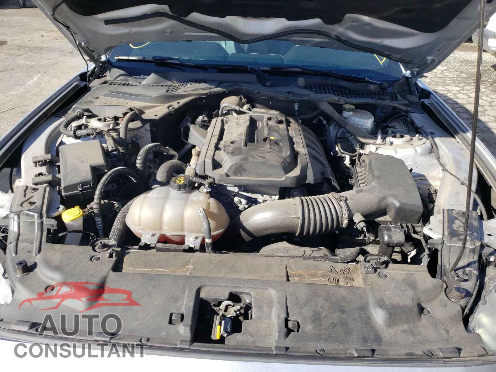 FORD MUSTANG 2019 - 1FATP8UH3K5135749