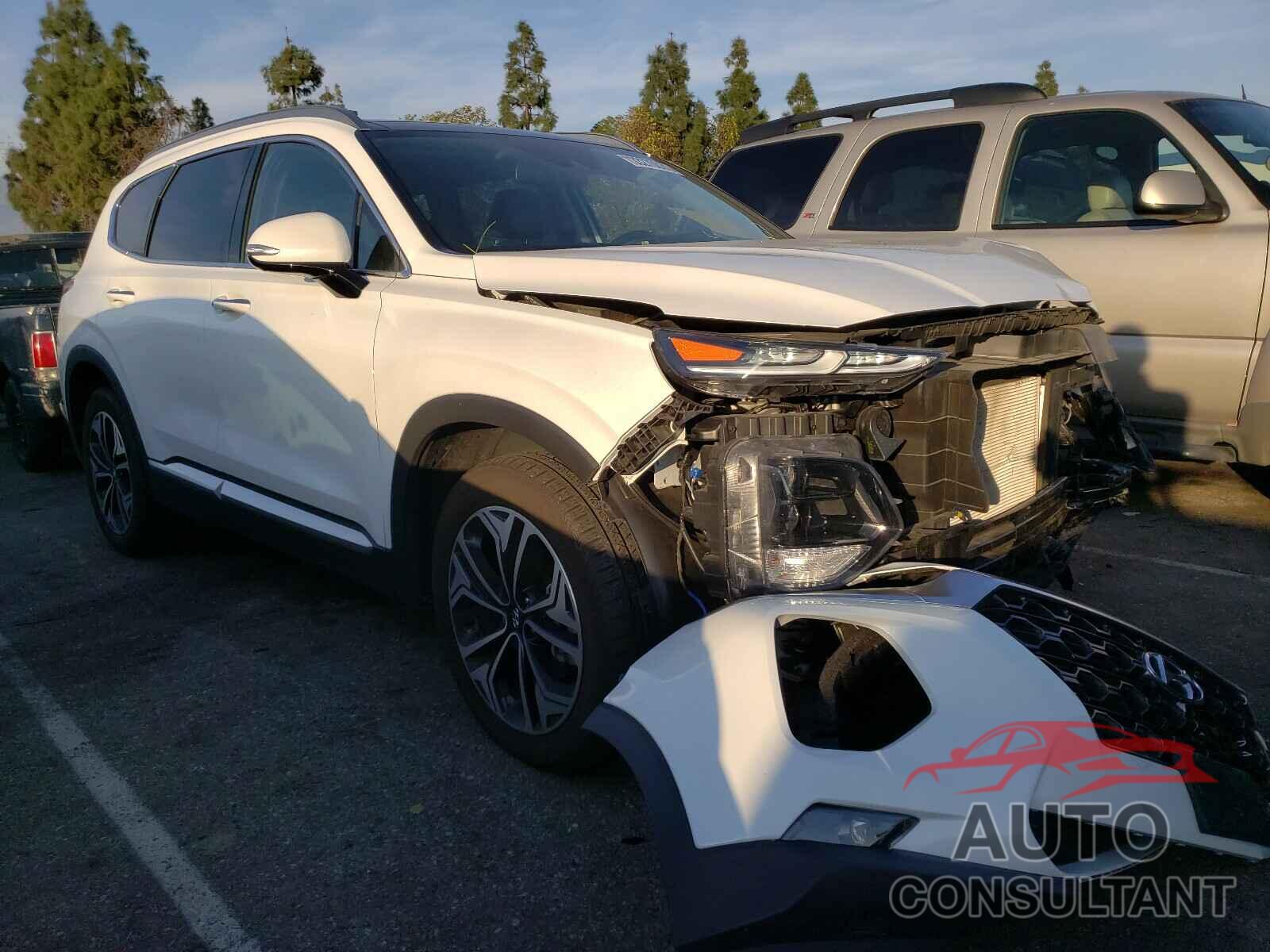HYUNDAI SANTA FE 2019 - 5NMS53AA9KH030488