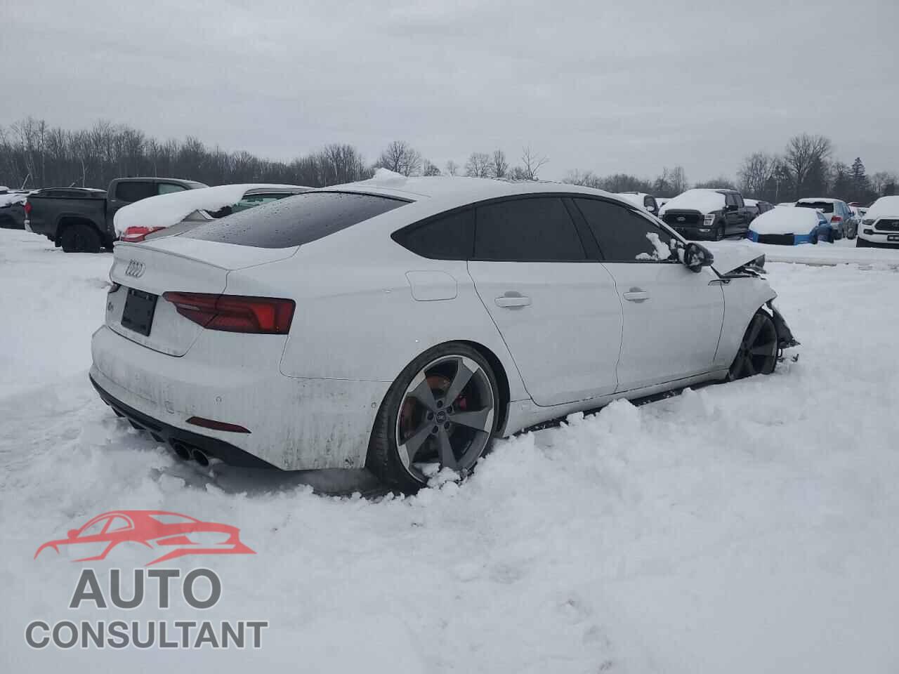 AUDI S5/RS5 2019 - WAUC4CF5XKA097885