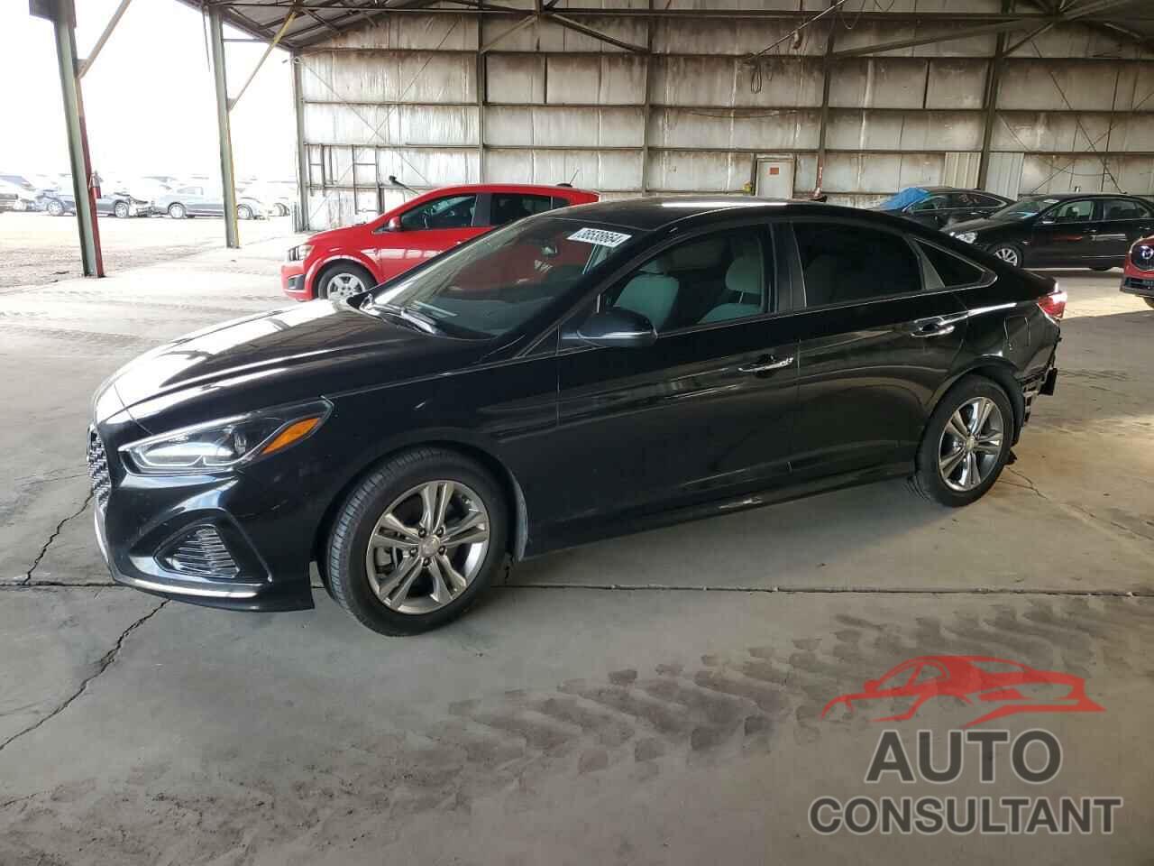 HYUNDAI SONATA 2019 - 5NPE34AF4KH736713