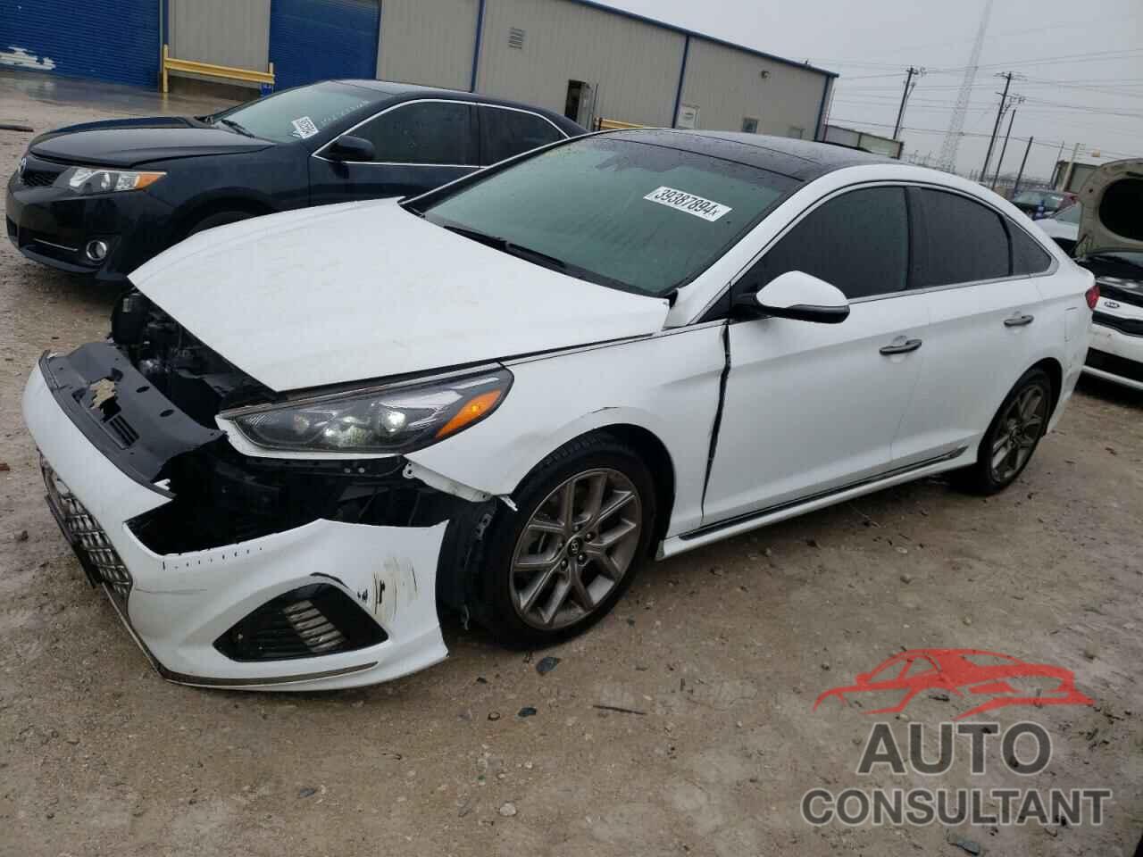 HYUNDAI SONATA 2019 - 5NPE34AB0KH752632