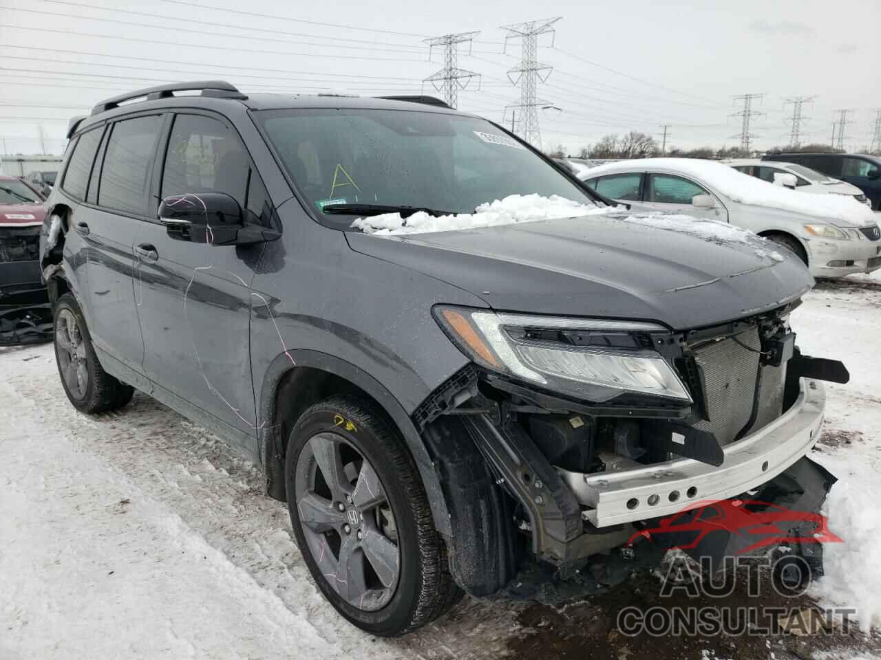 HONDA PASSPORT 2019 - KM8K1CAA8MU744678