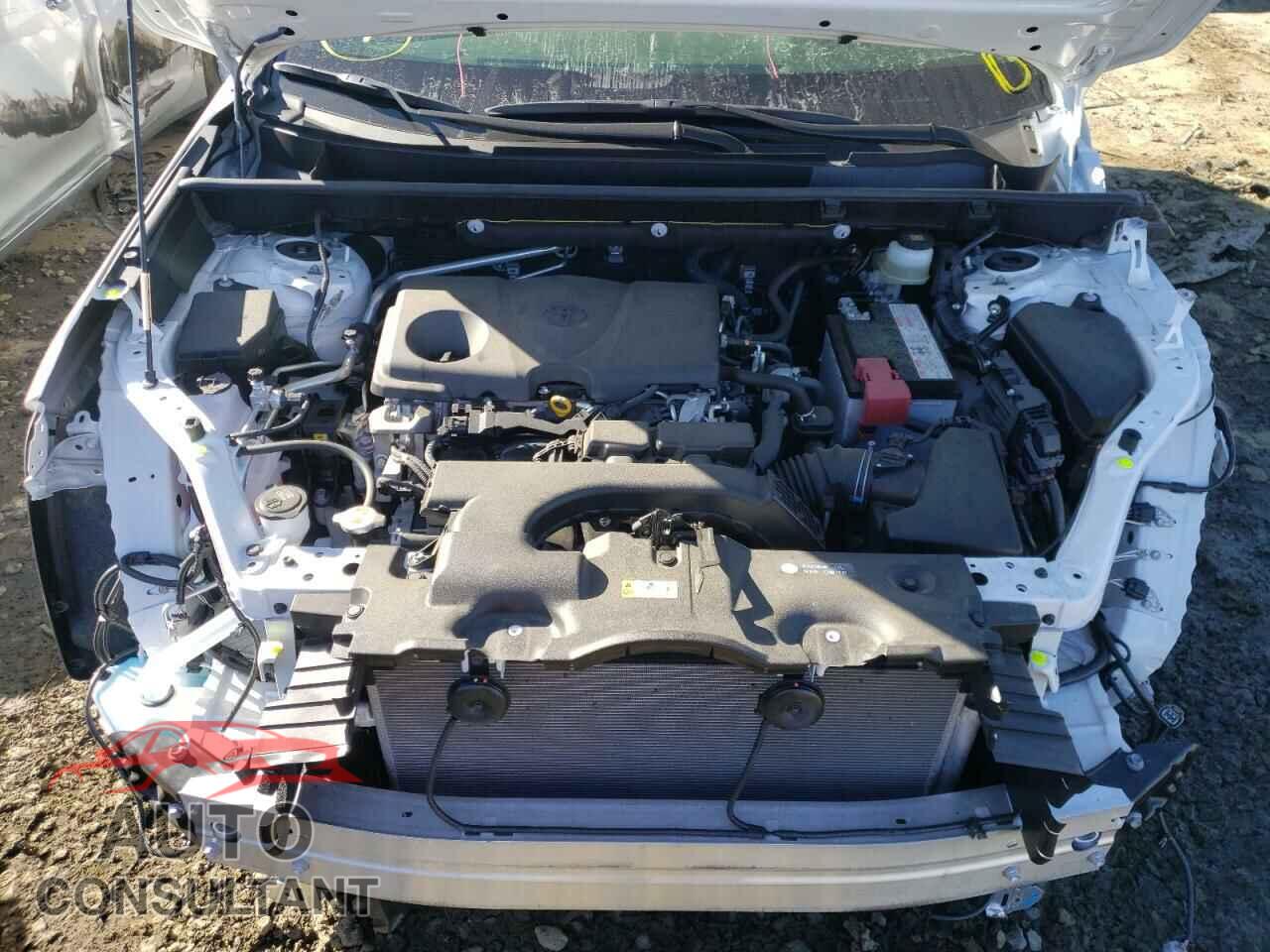 TOYOTA RAV4 2019 - JTMP1RFV4KD013428