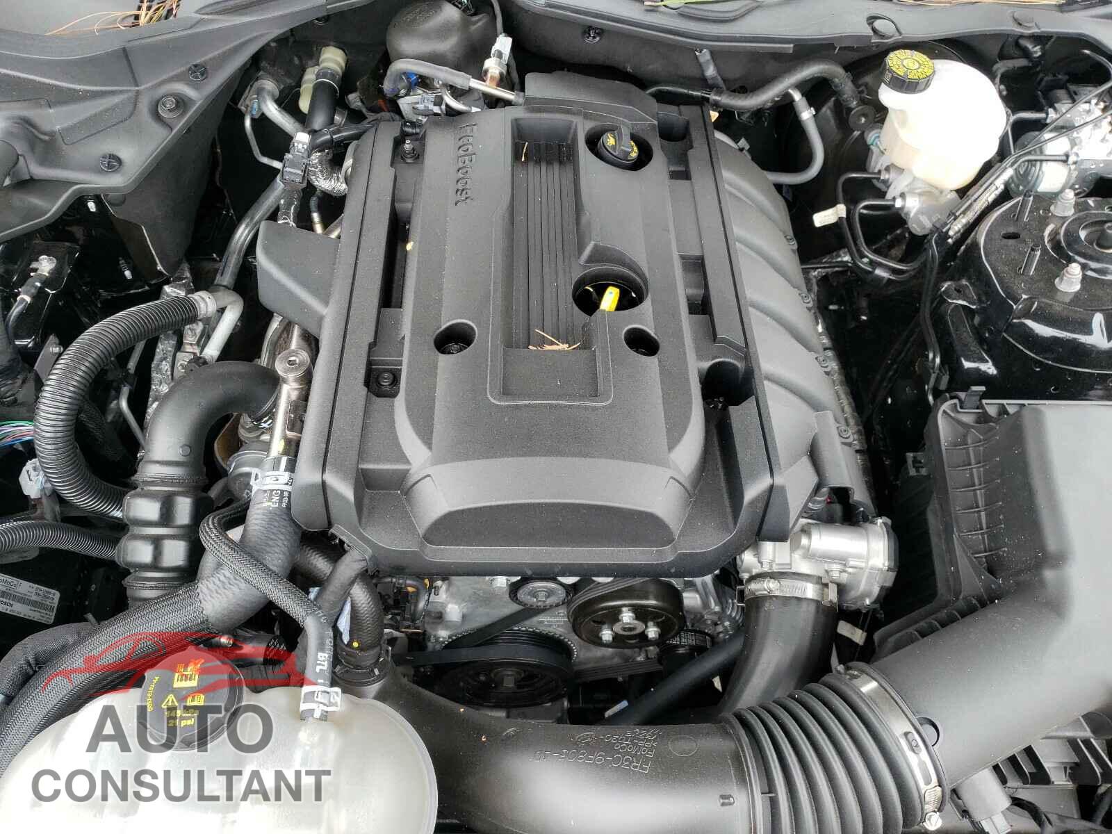 FORD MUSTANG 2020 - 1FA6P8TH2L5174526