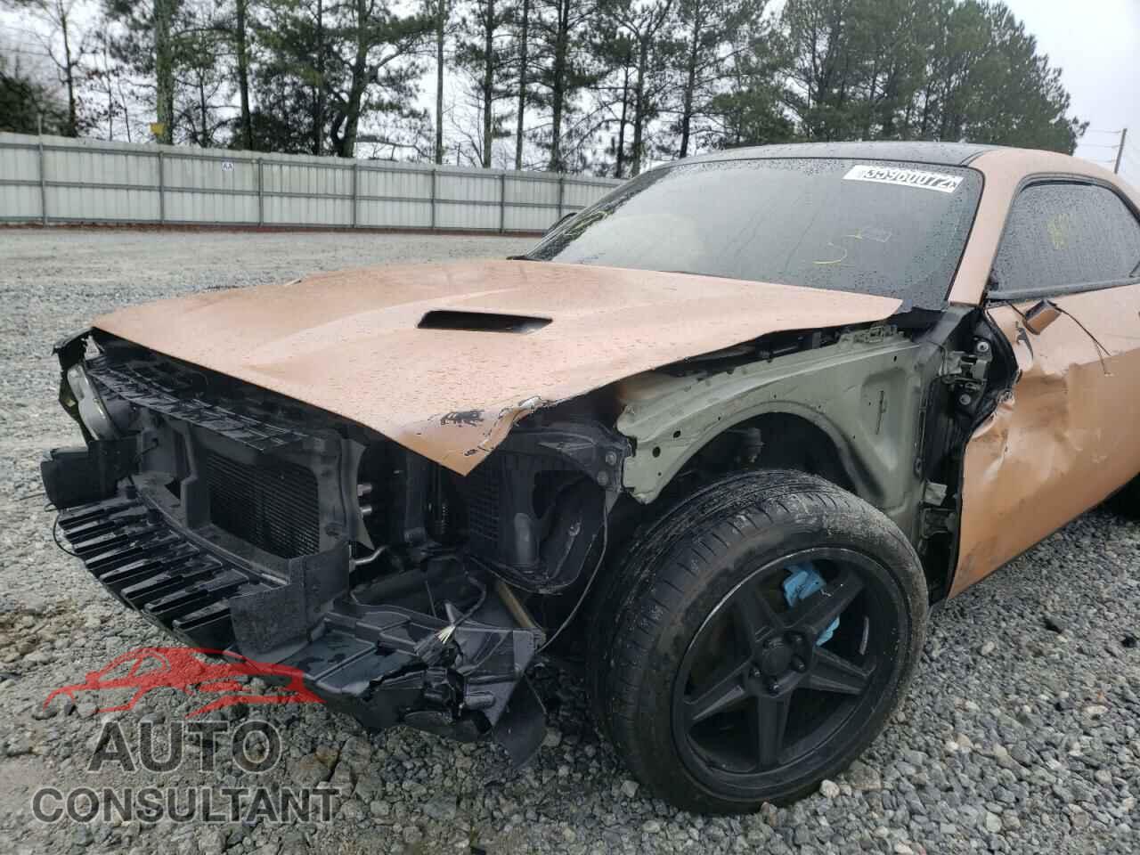 DODGE CHALLENGER 2019 - 2C3CDZAGXKH524860