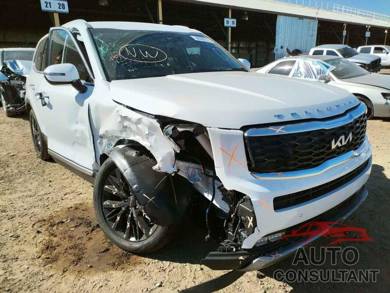 KIA TELLURIDE 2022 - 5XYP54HC3NG243955