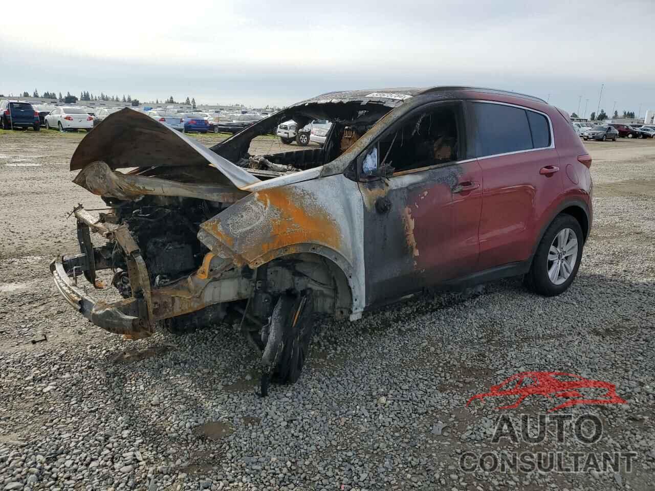 KIA SPORTAGE 2017 - KNDPM3AC9H7211245