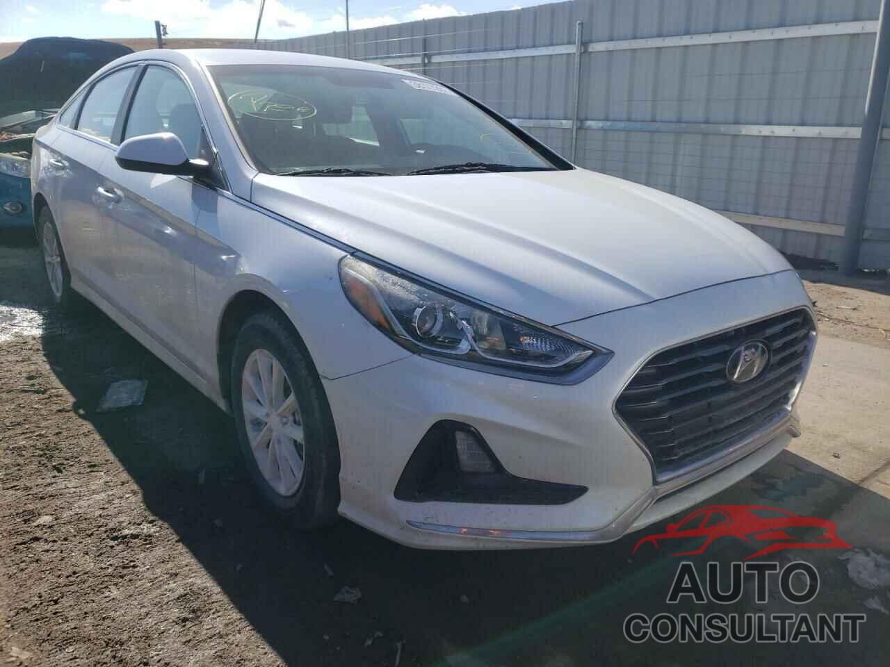 HYUNDAI SONATA 2019 - 5NPE24AF4KH746600