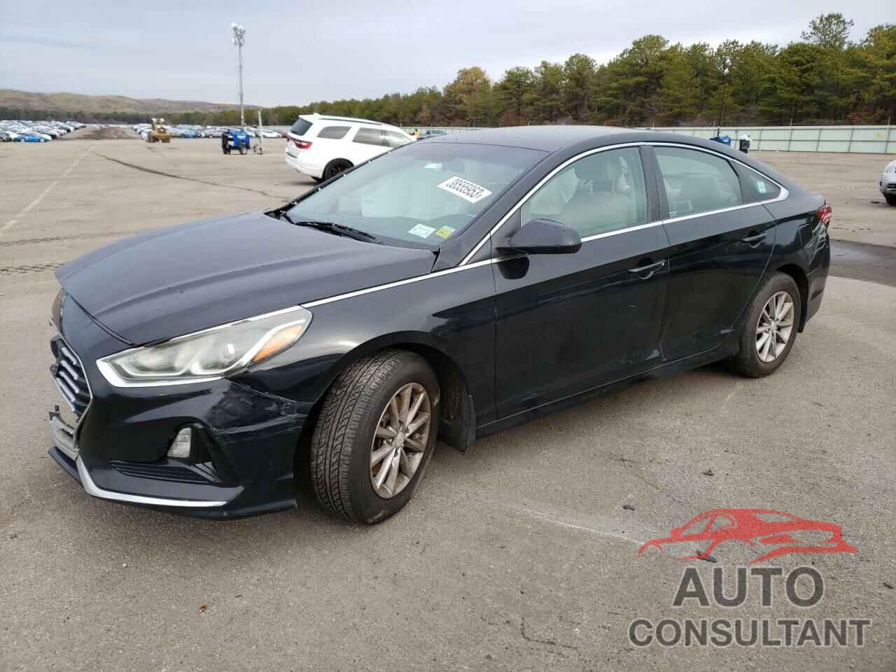 HYUNDAI SONATA 2019 - 5NPE24AF7KH810550