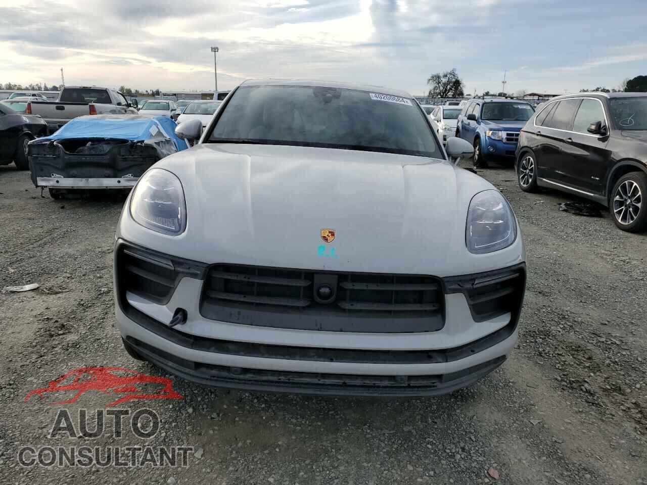 PORSCHE MACAN BASE 2023 - WP1AA2A51PLB20484