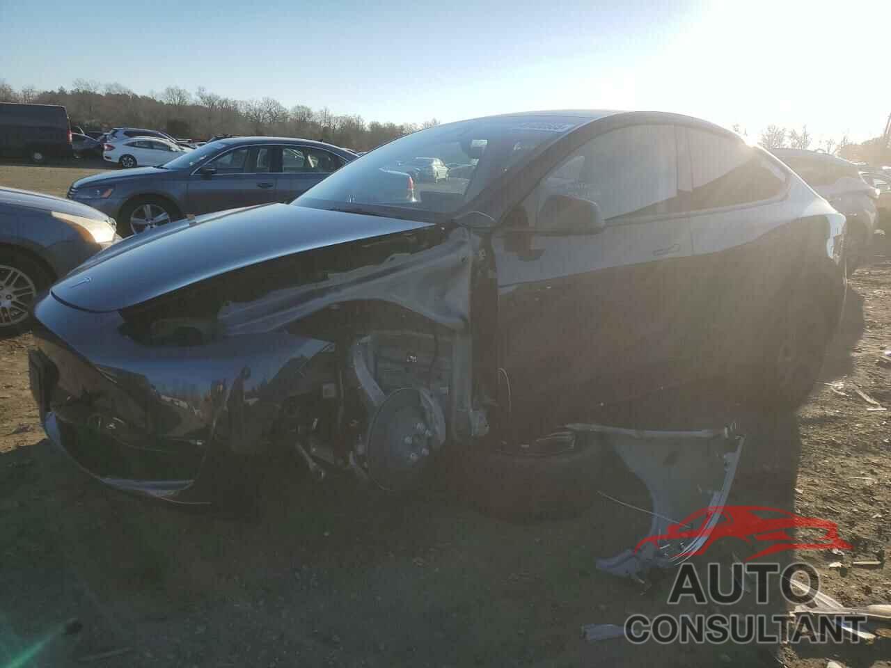 TESLA MODEL Y 2024 - 7SAYGDEE6RF182864