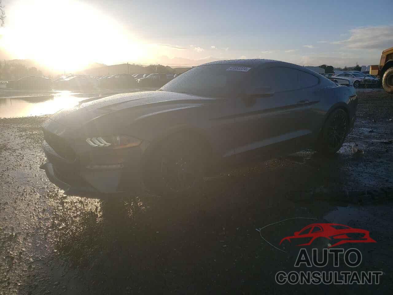 FORD MUSTANG 2019 - 1FA6P8CF1K5115433