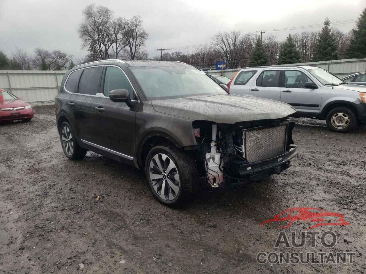 KIA TELLURIDE 2022 - 5XYP3DHC9NG207287