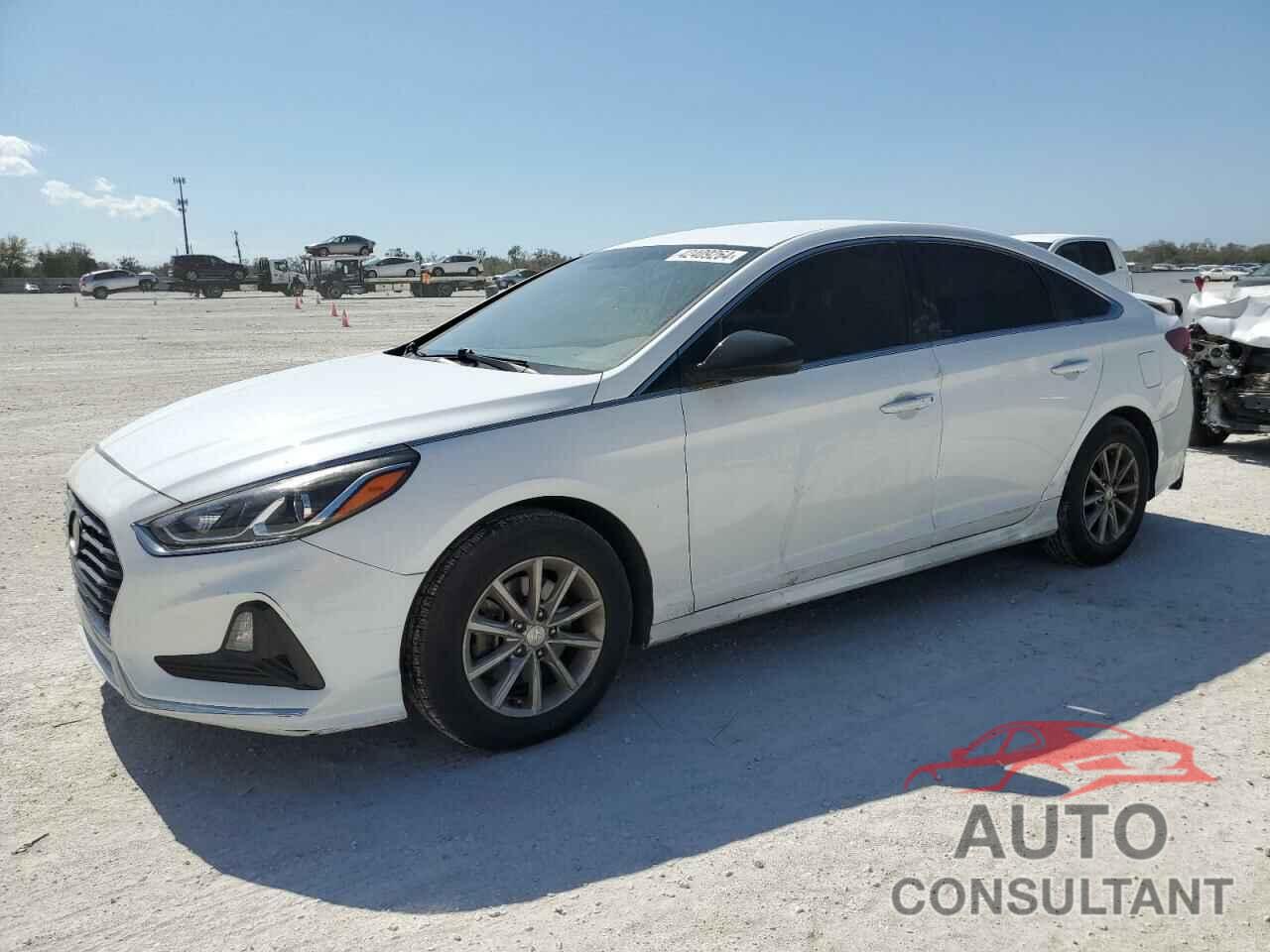 HYUNDAI SONATA 2019 - 5NPE24AF0KH778394