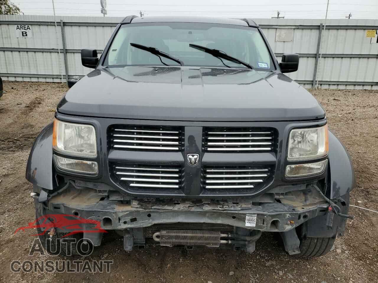 DODGE NITRO 2011 - 1D4PT5GK0BW509907