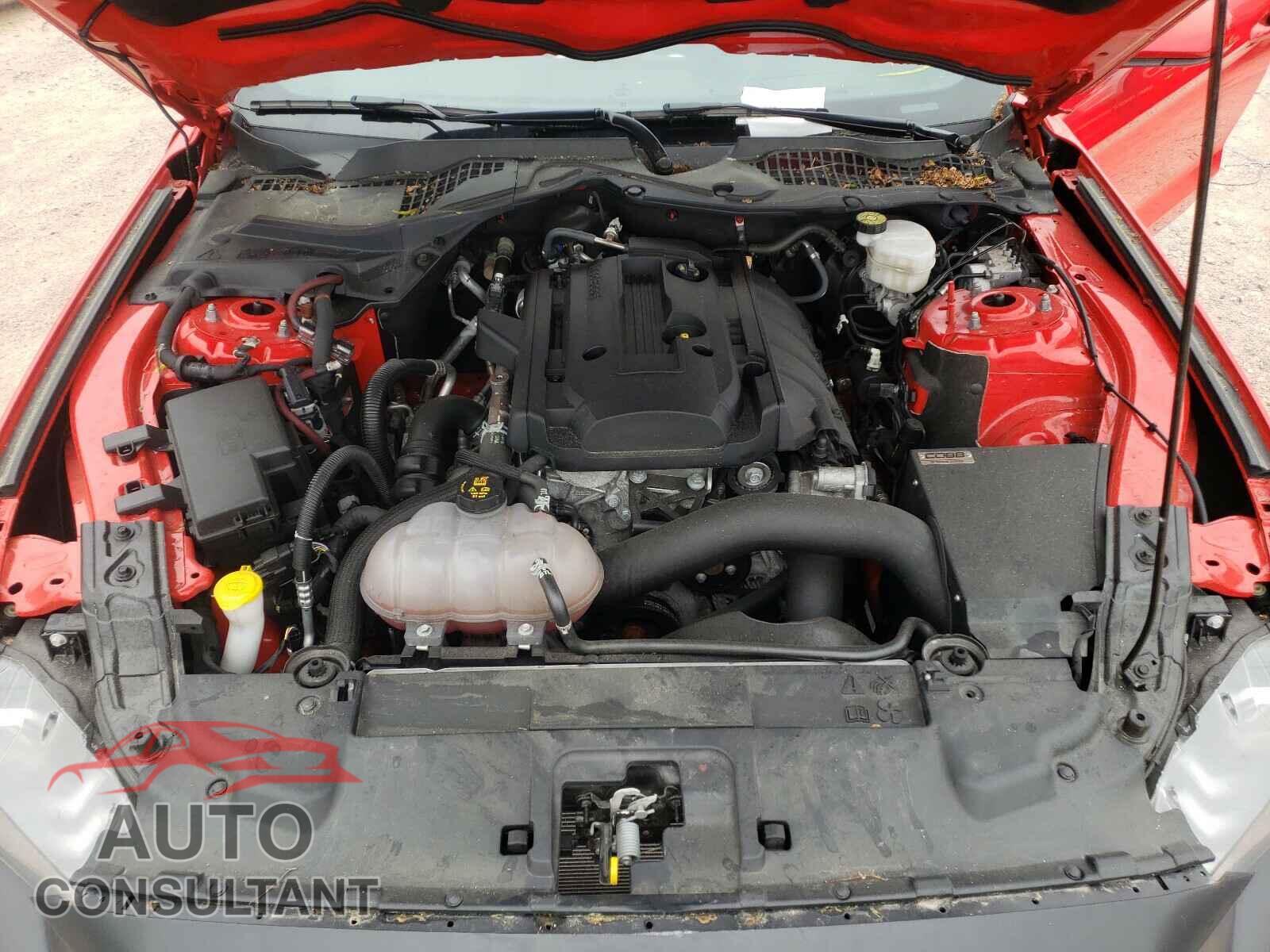 FORD MUSTANG 2019 - 1FA6P8TH4K5200624