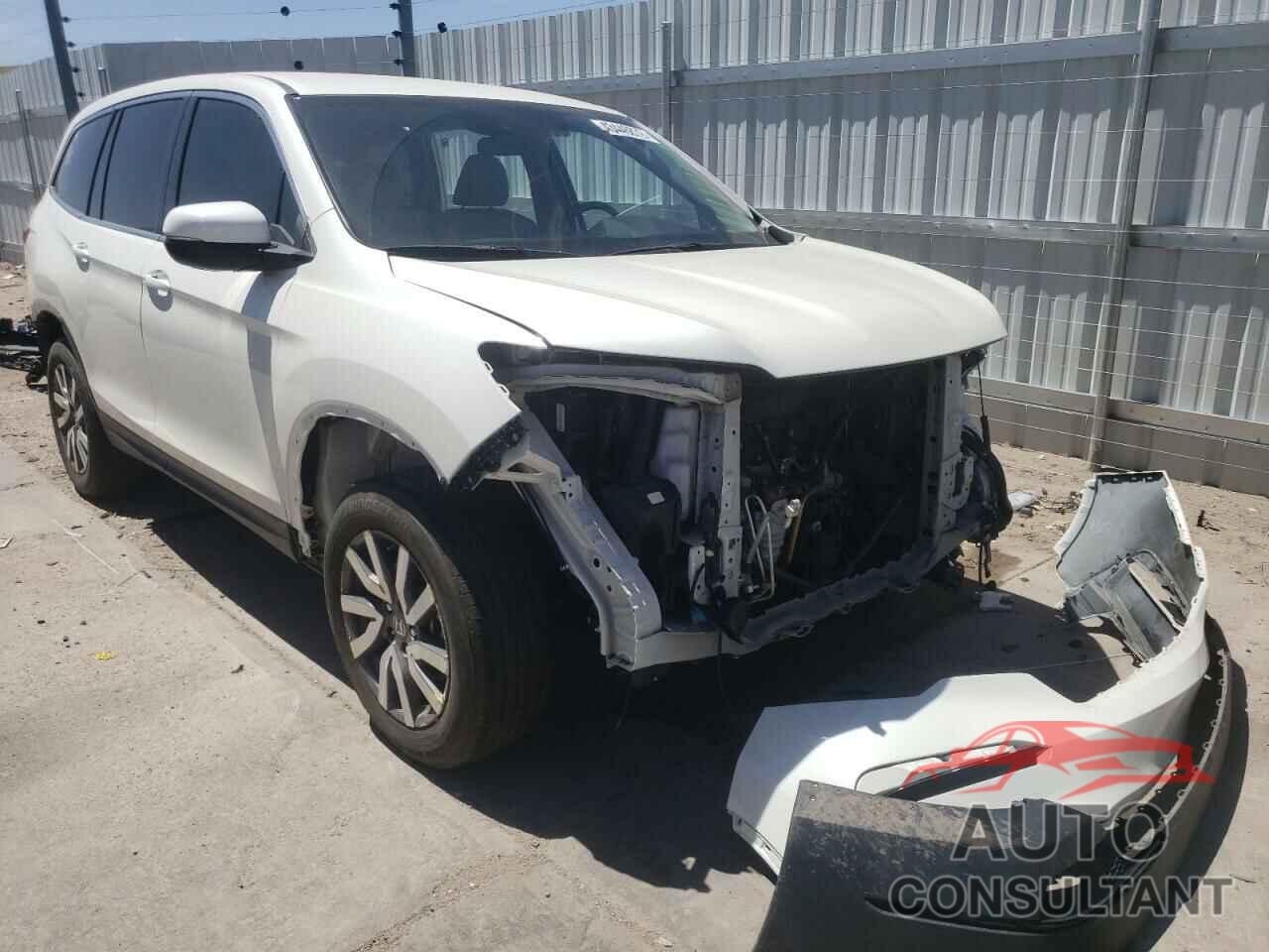 HONDA PILOT 2019 - 5FNYF6H33KB081115