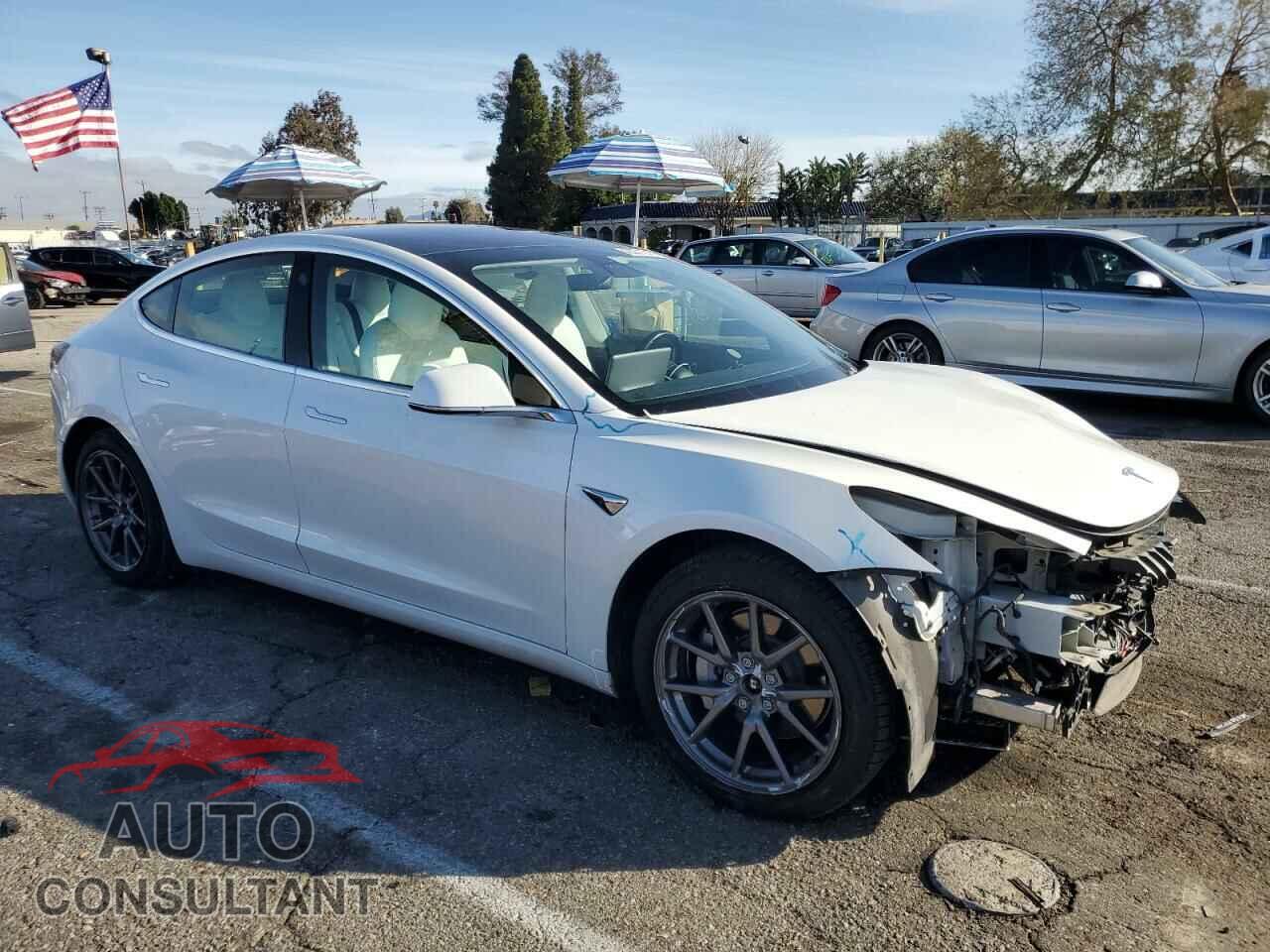TESLA MODEL 3 2019 - 5YJ3E1EB7JF134781