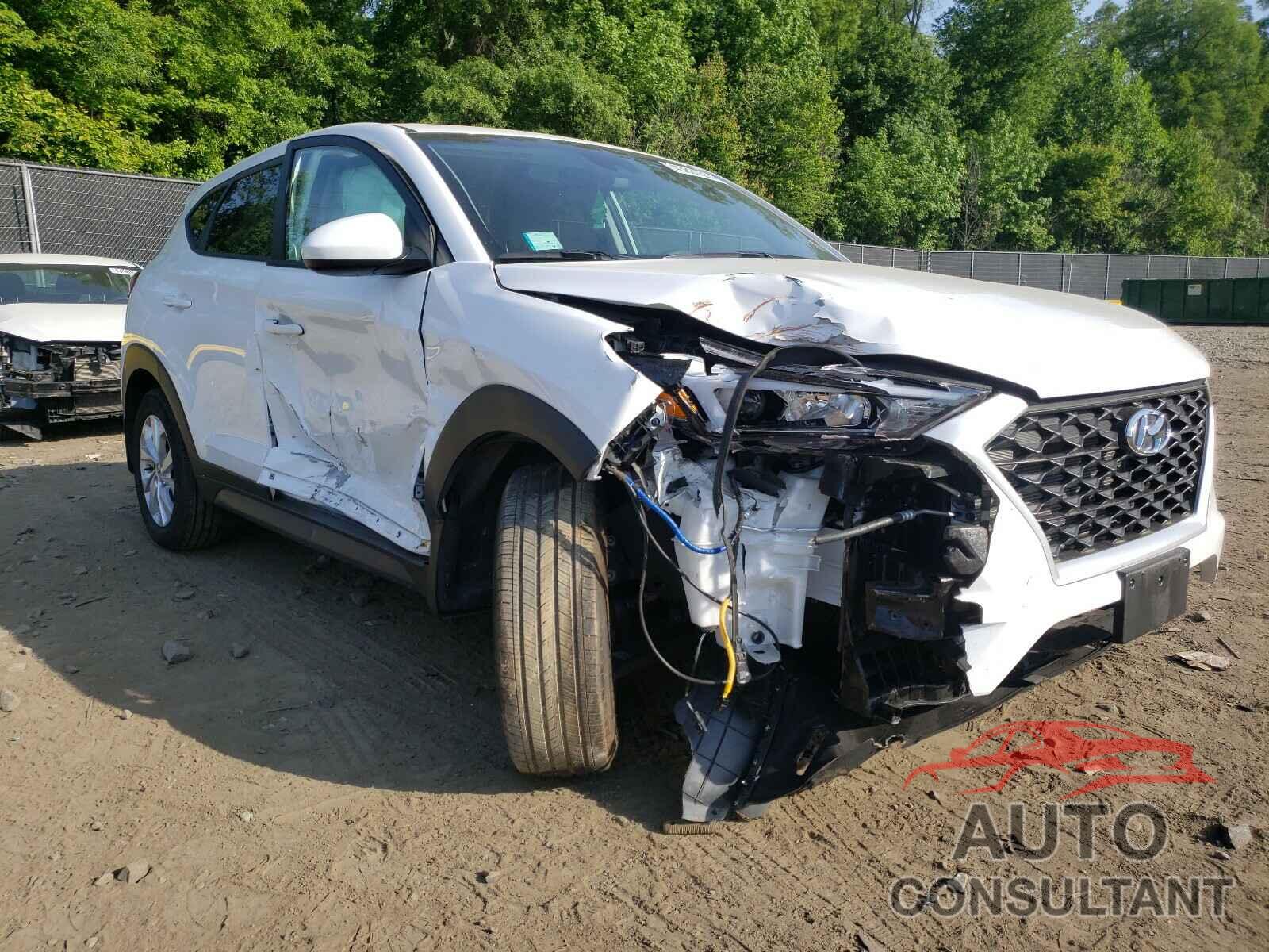 HYUNDAI TUCSON 2019 - KM8J2CA4XKU059873