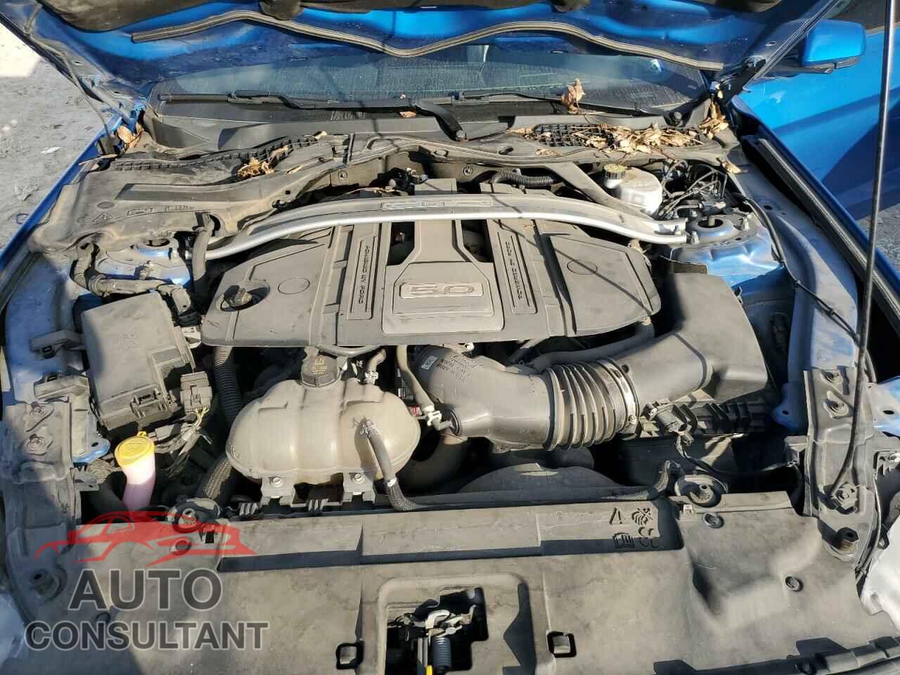 FORD MUSTANG 2019 - 1FA6P8CF6K5128288