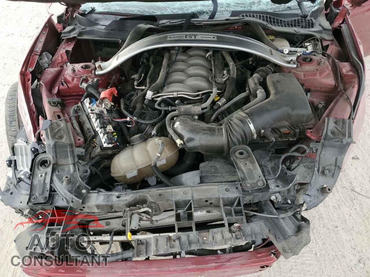 FORD MUSTANG 2019 - 1FA6P8CF3K5191476
