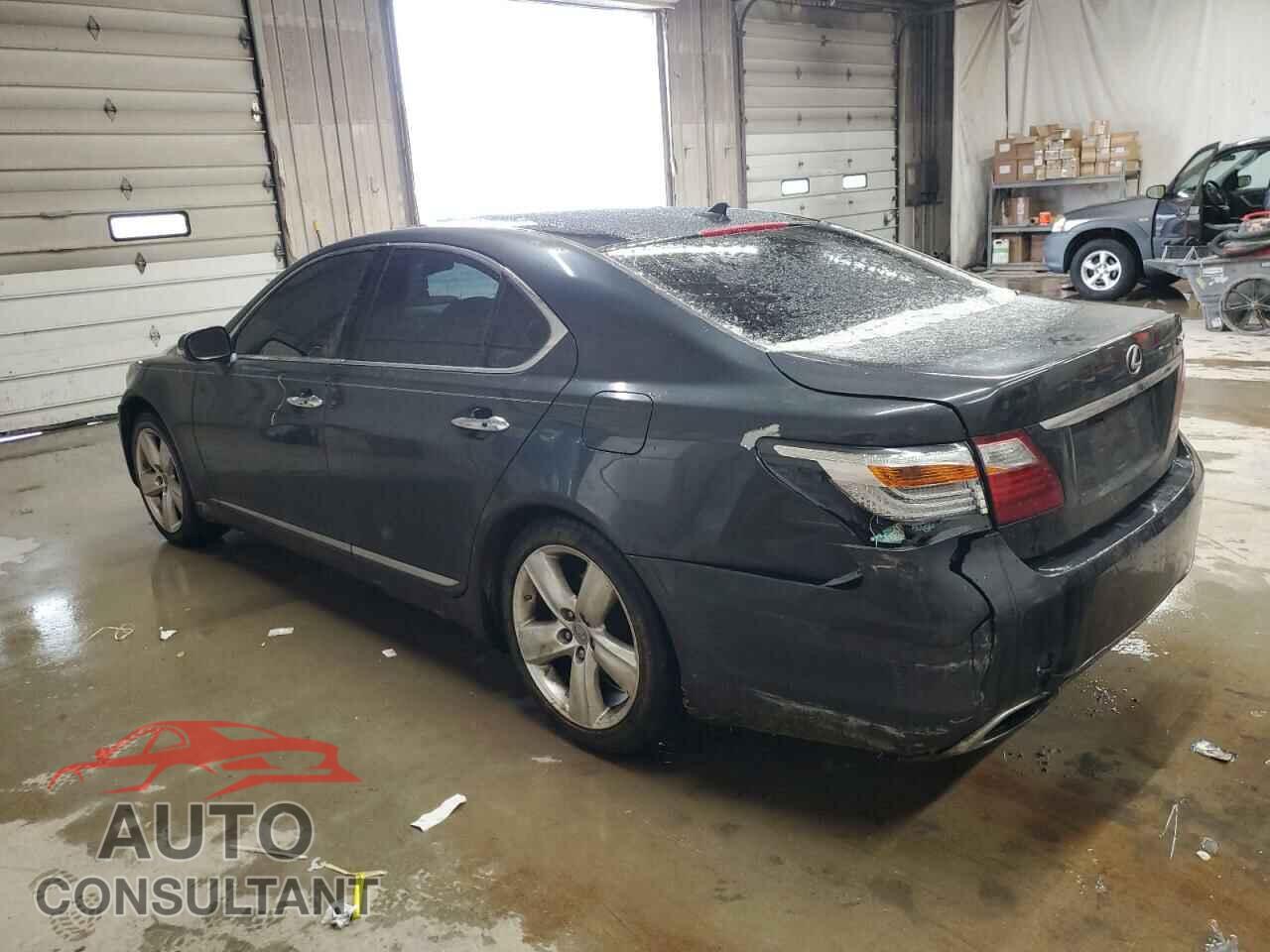 LEXUS LS460 2011 - JTHBL5EFXB5105854