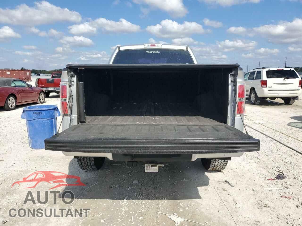 FORD F-150 2013 - 1FTFX1EF9DFD95341