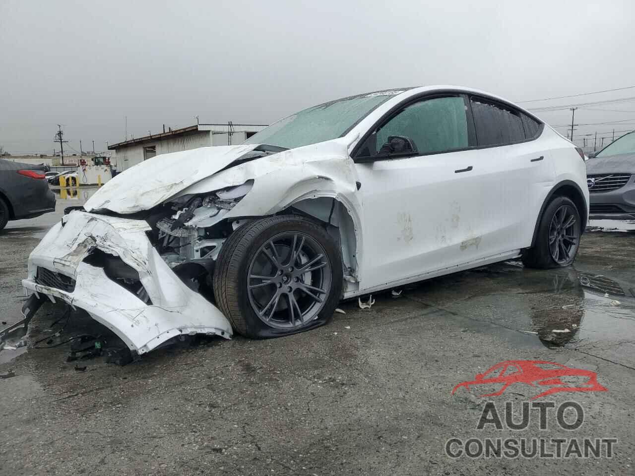 TESLA MODEL Y 2024 - 7SAYGDEE8RF167265