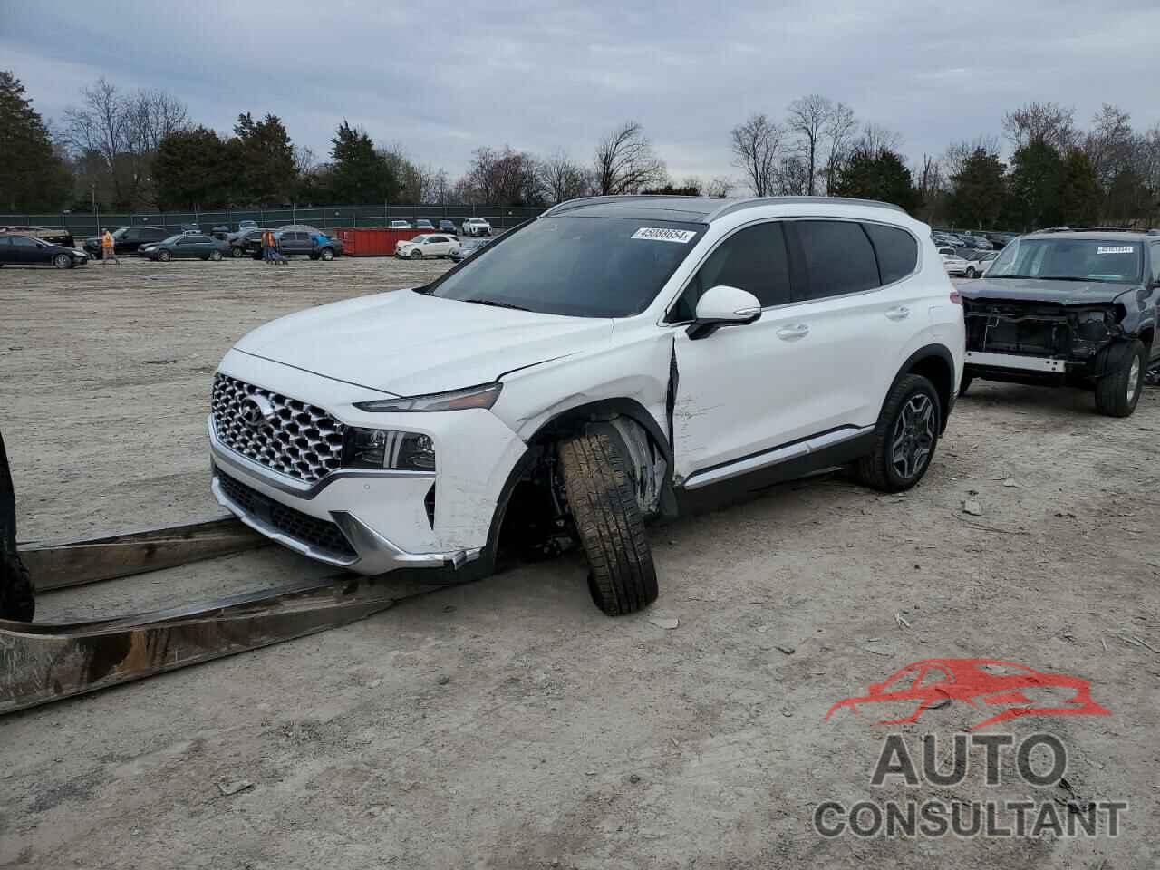 HYUNDAI SANTA FE 2023 - 5NMS5DA13PH018740