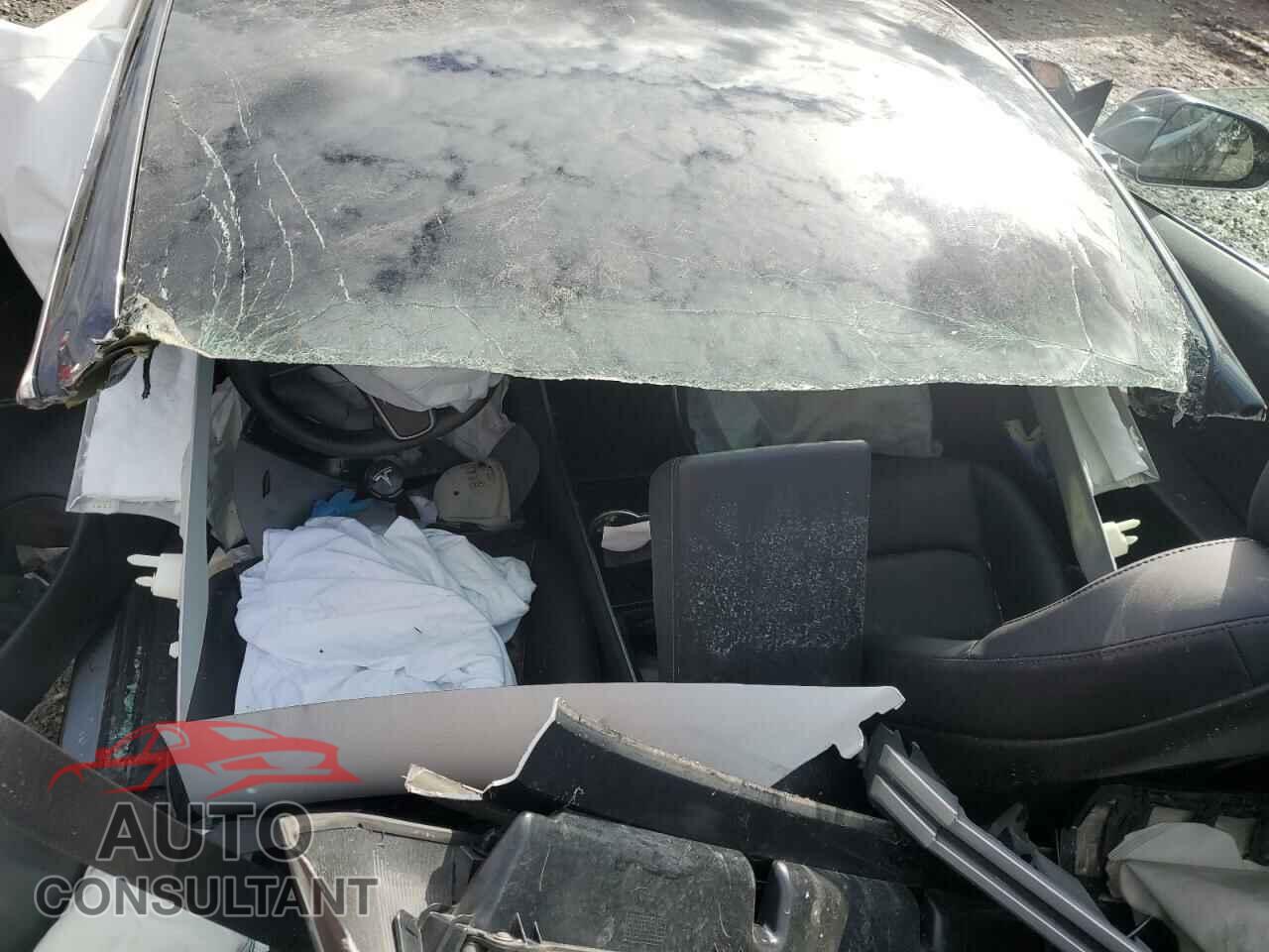 TESLA MODEL 3 2019 - 5YJ3E1EA4KF307343