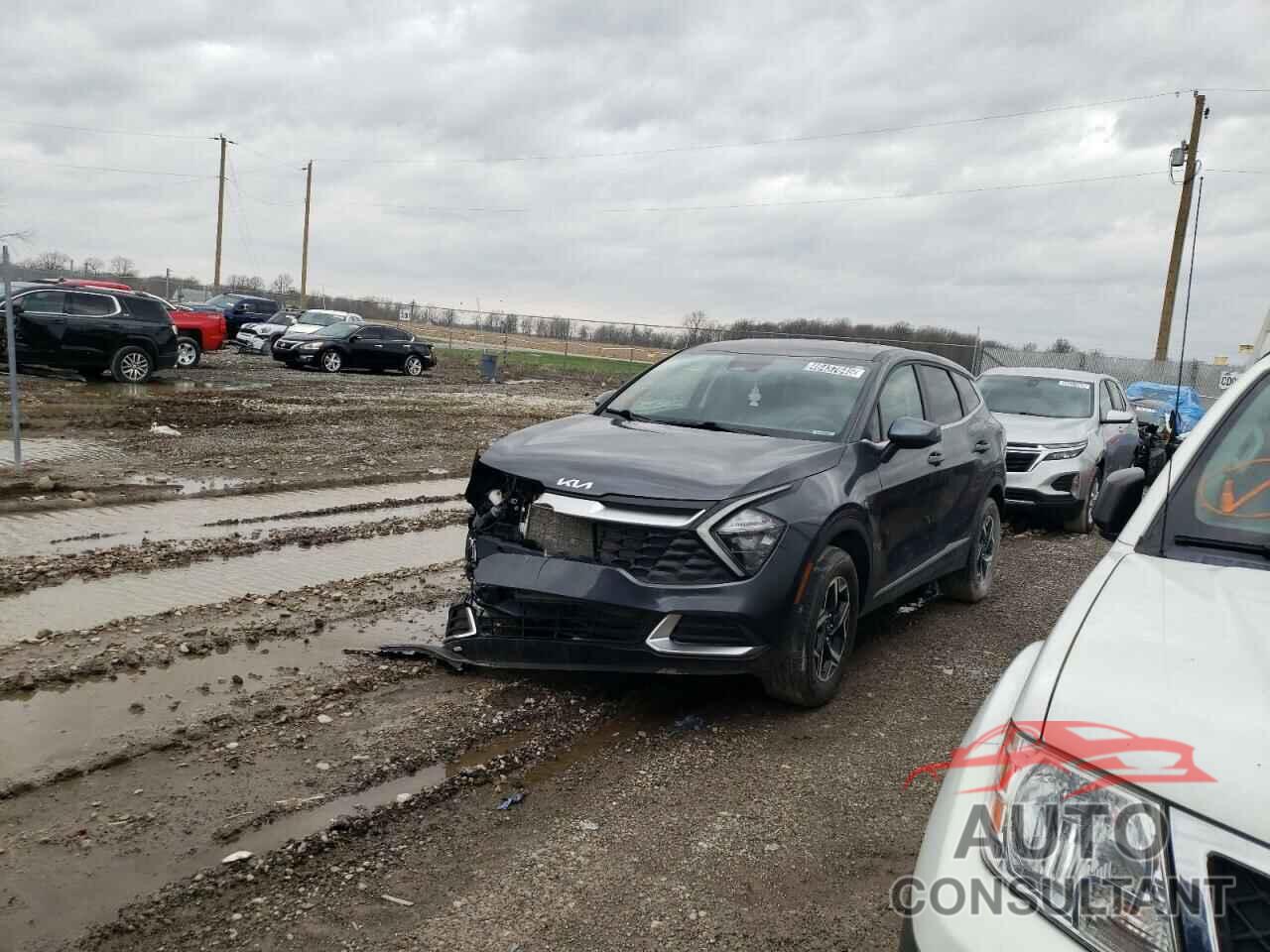 KIA SPORTAGE 2023 - KNDPUCAF6P7211714