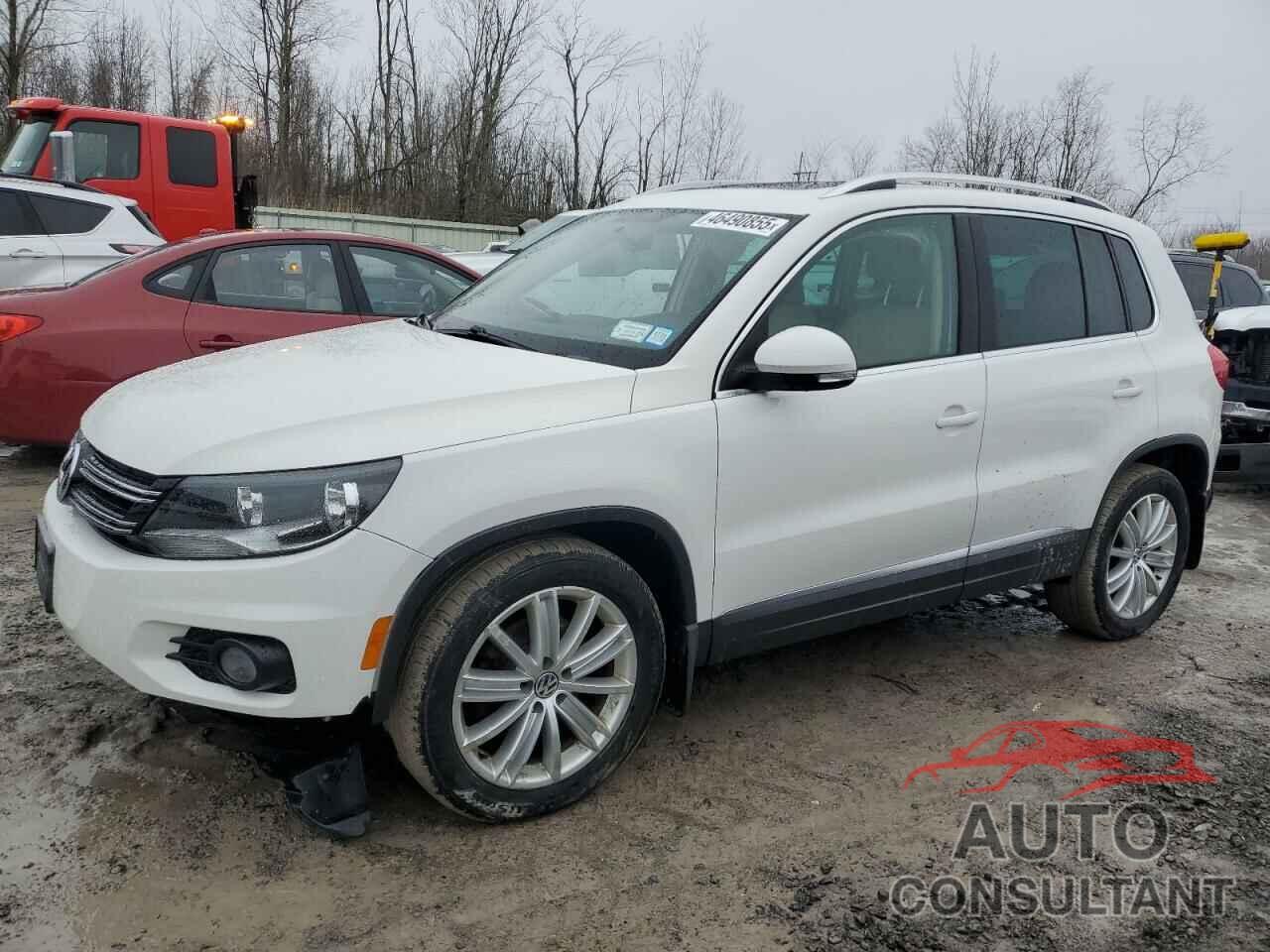 VOLKSWAGEN TIGUAN 2013 - WVGBV3AXXDW589130
