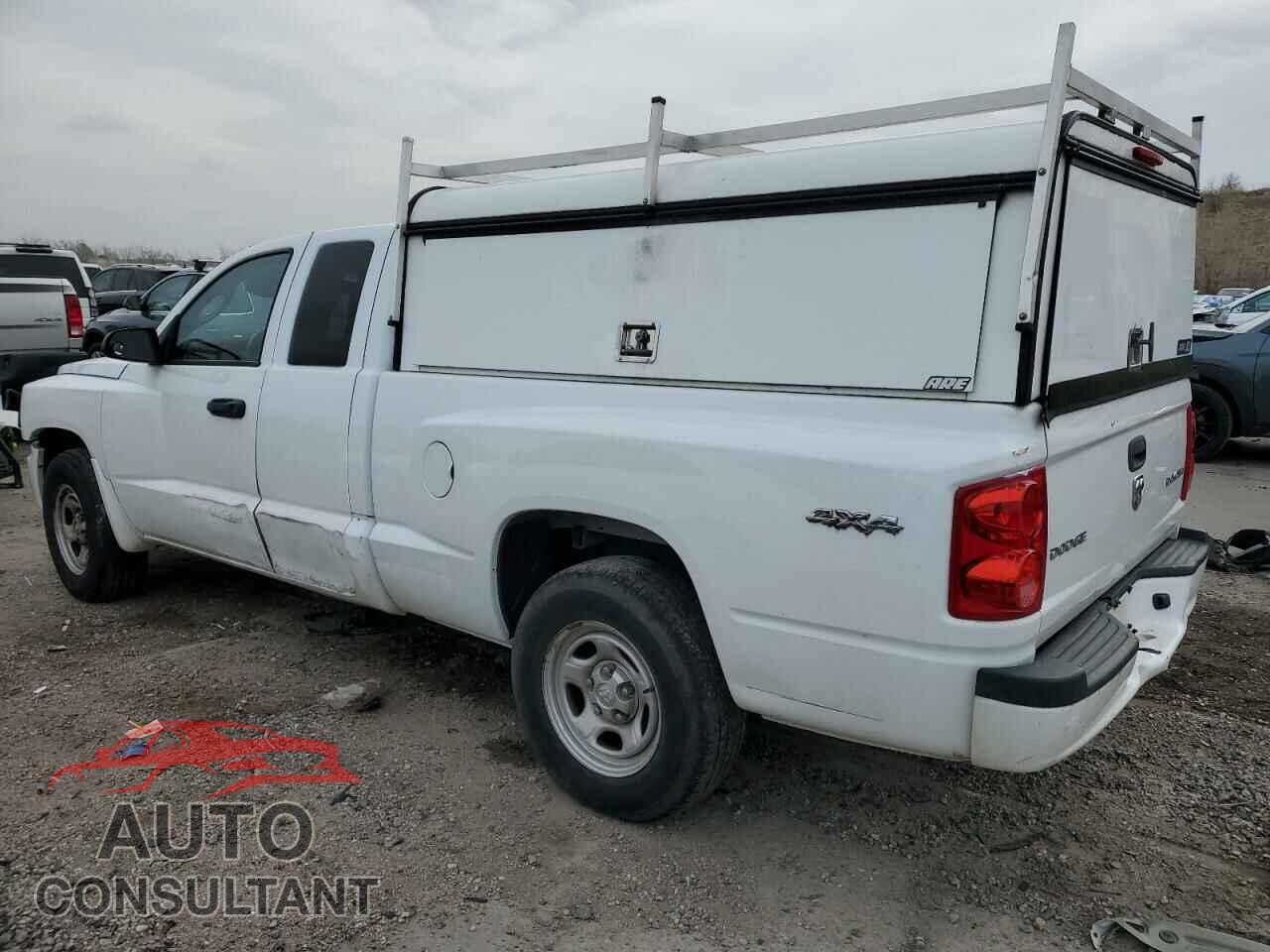 DODGE DAKOTA 2011 - 1D7RW2BK2BS654009