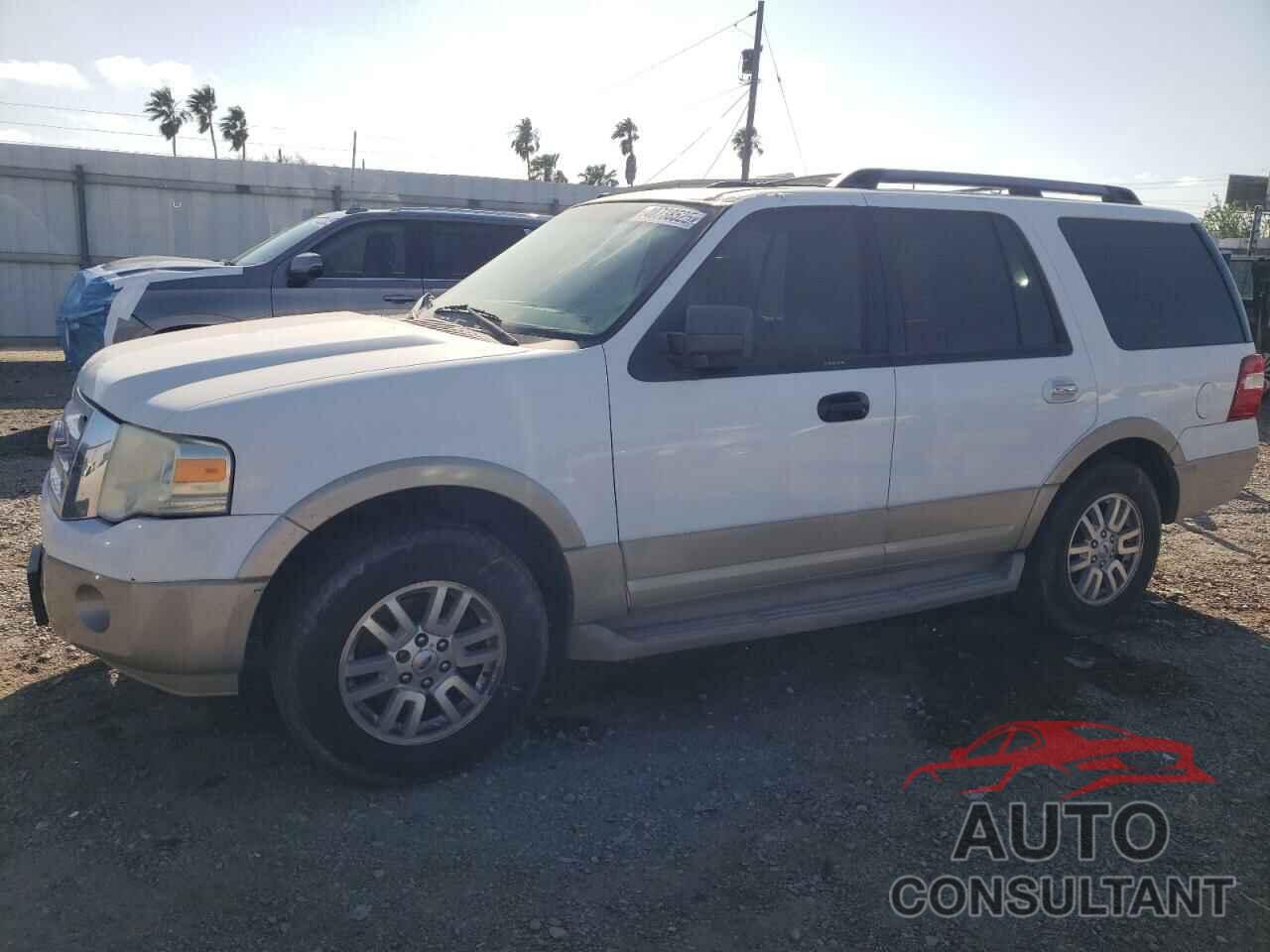 FORD EXPEDITION 2010 - 1FMJU1H54AEA34439