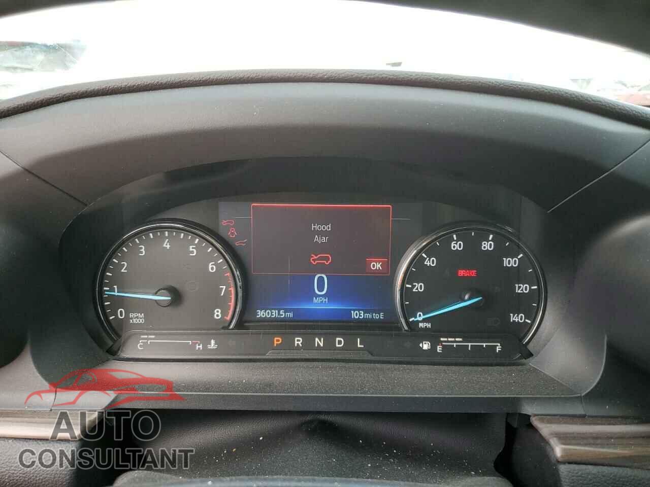 FORD EXPLORER 2022 - 1FMSK8FH7NGB87665