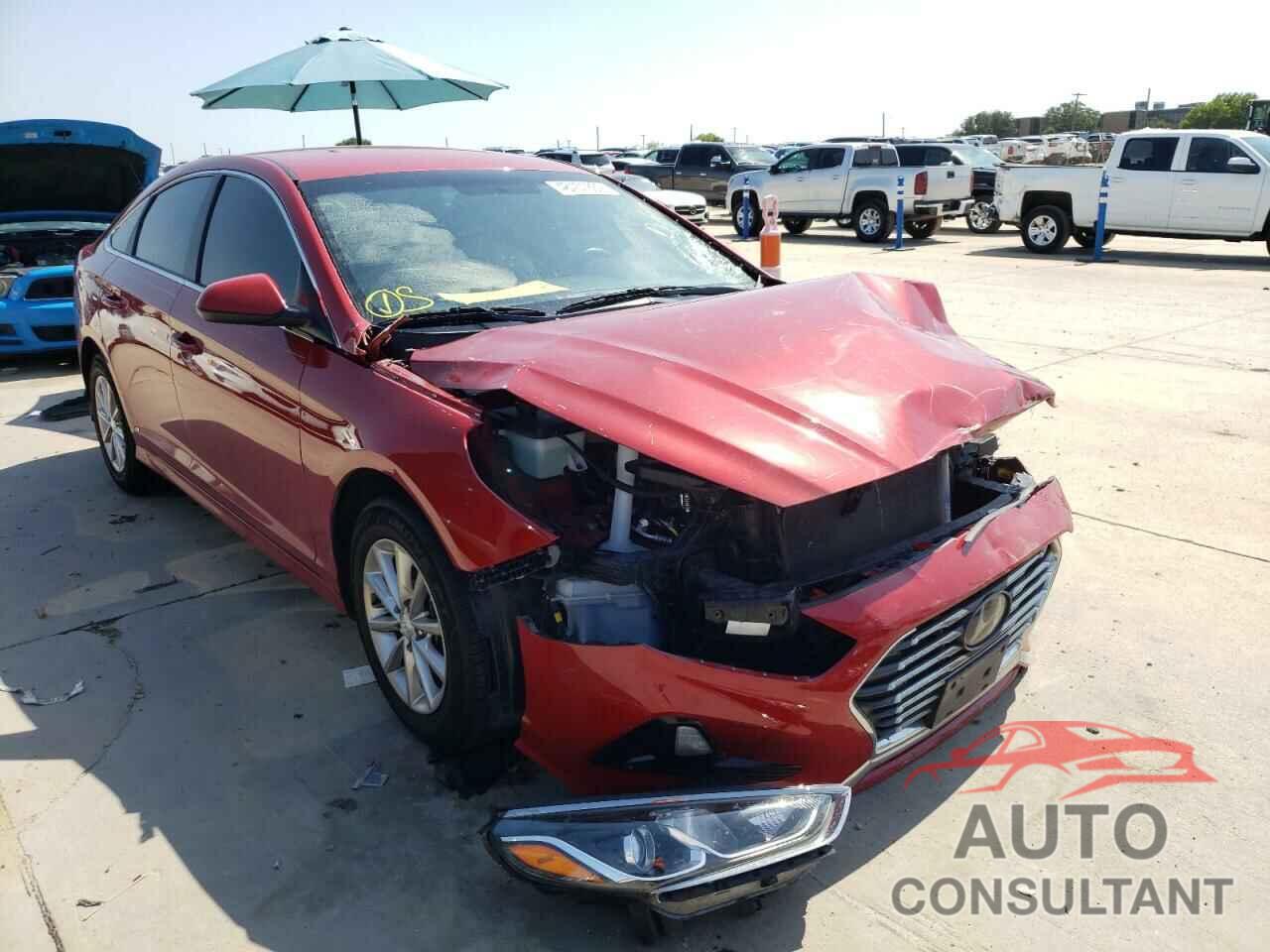 HYUNDAI SONATA 2019 - 5NPE24AF5KH751871