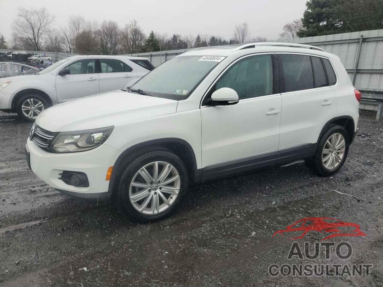 VOLKSWAGEN TIGUAN 2016 - WVGBV7AX6GW519281