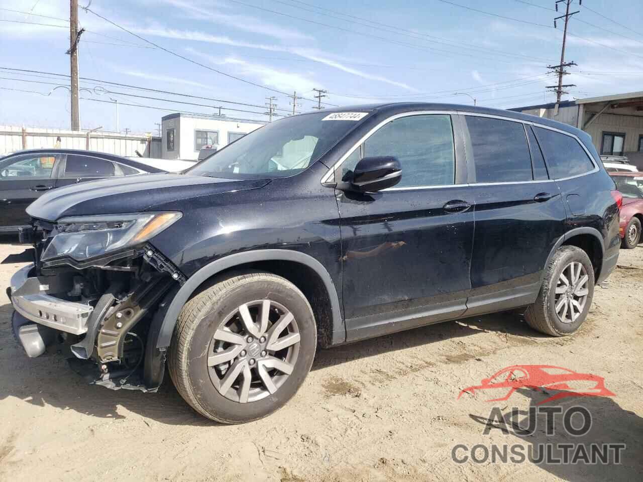 HONDA PILOT 2019 - 5FNYF5H53KB040270