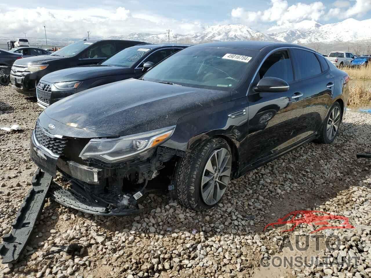 KIA OPTIMA 2019 - 5XXGT4L39KG282286