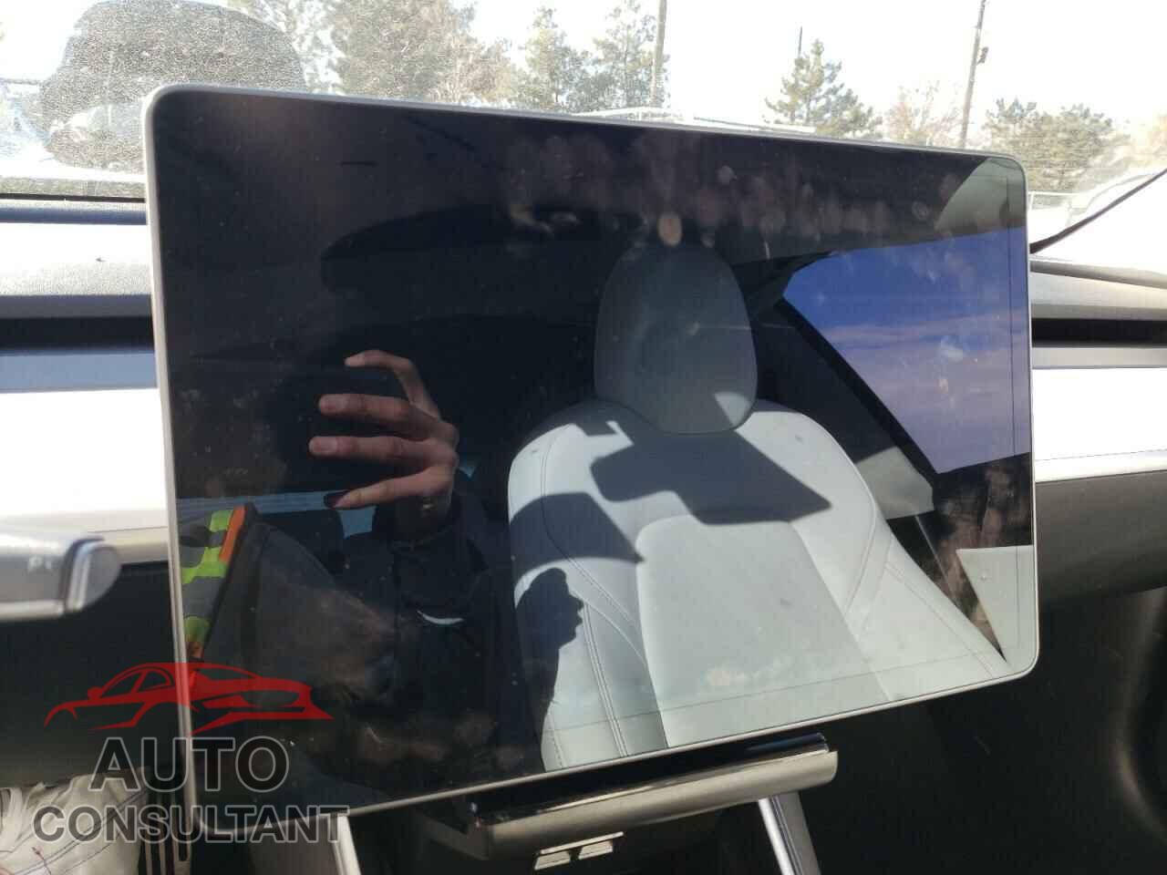TESLA MODEL 3 2019 - 5YJ3E1EA6KF509505