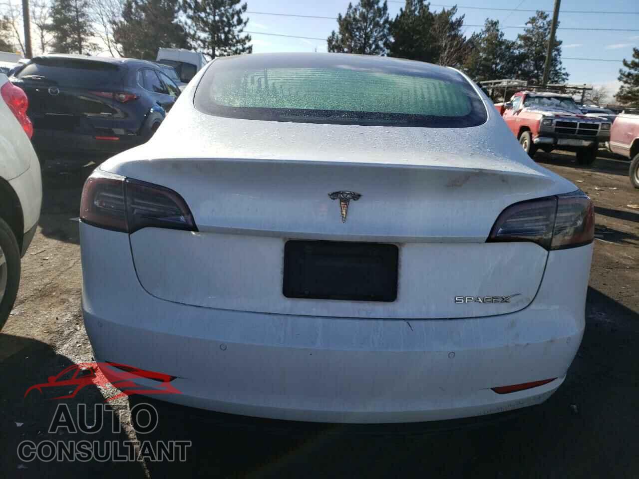 TESLA MODEL 3 2019 - 5YJ3E1EA6KF509505