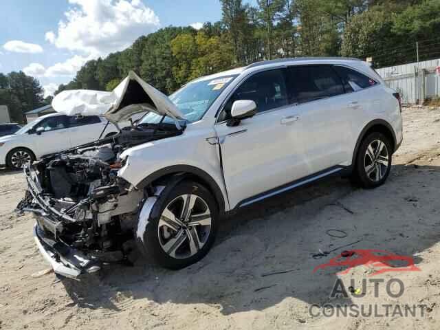 KIA SORENTO 2023 - KNDRKDLG8P5199393