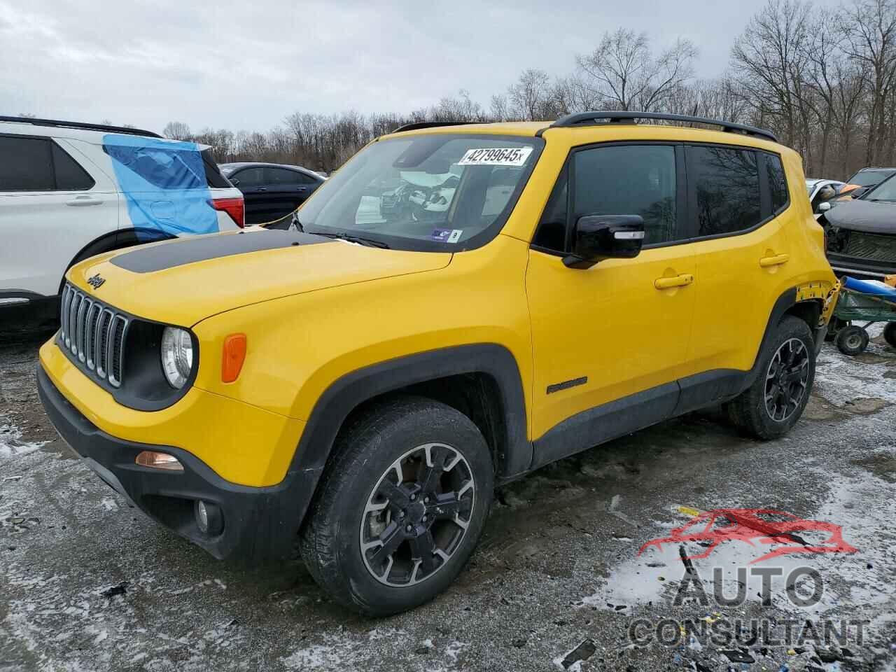 JEEP RENEGADE 2023 - ZACNJDB18PPP55446