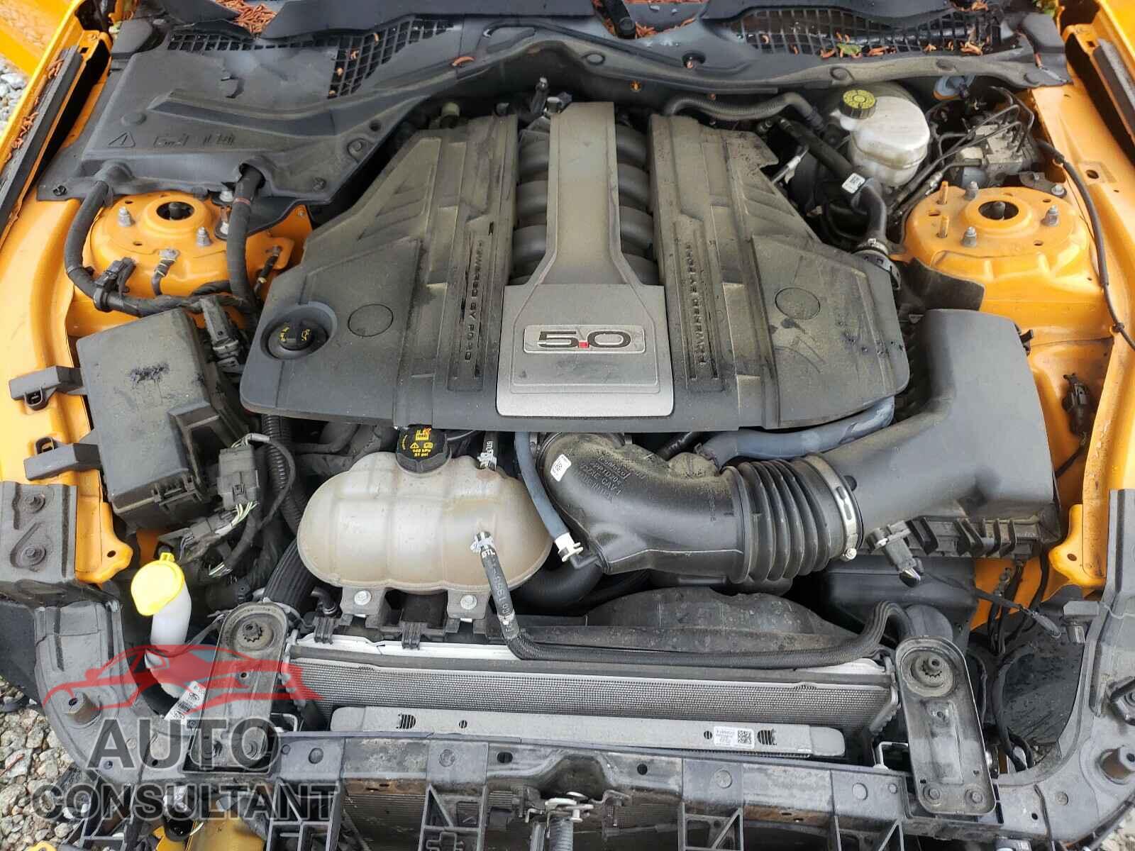 FORD MUSTANG 2019 - 1FA6P8CF7K5110138